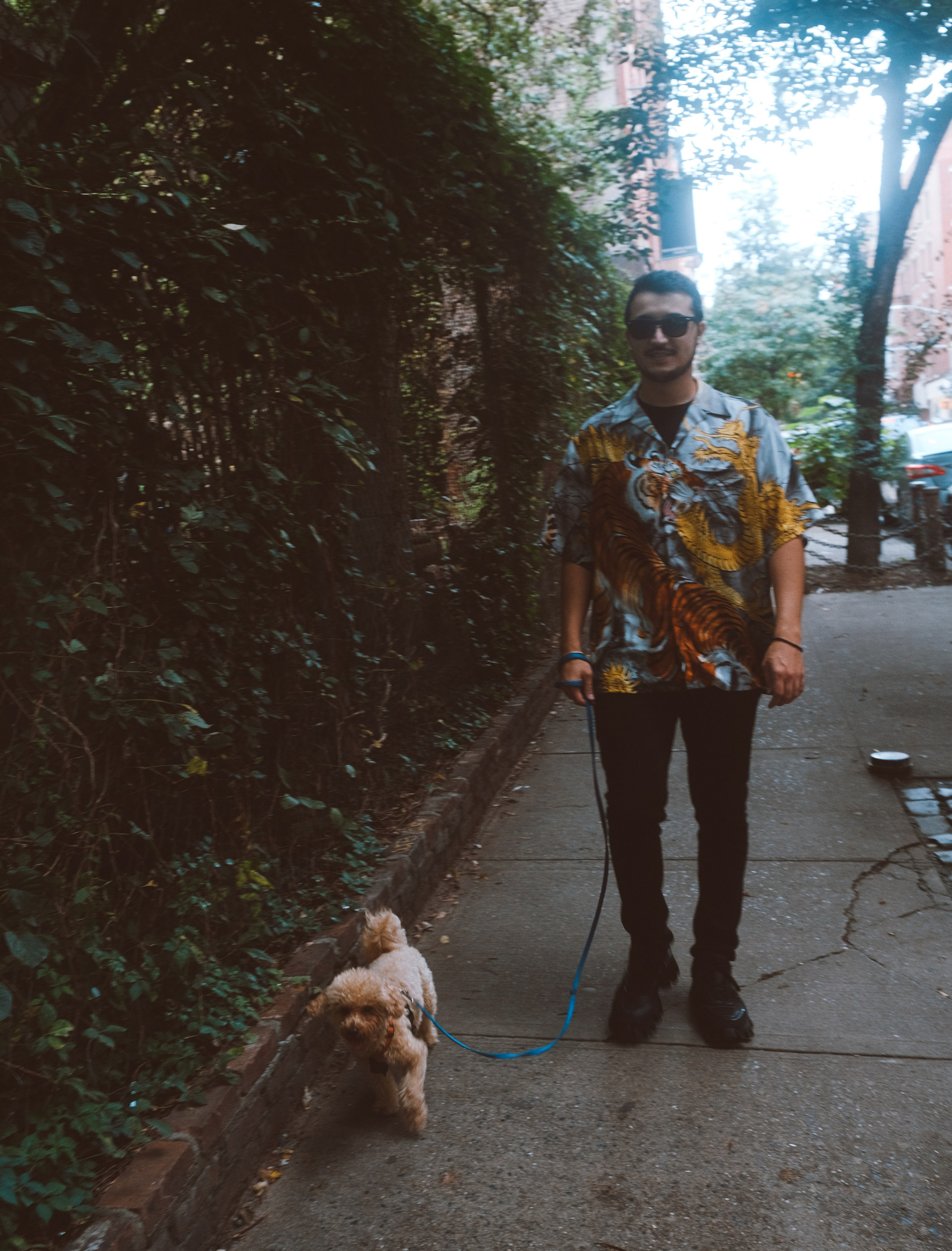 Annie, Egor & Locky. New York Photographer Sveta Zemskova, NYC Photo