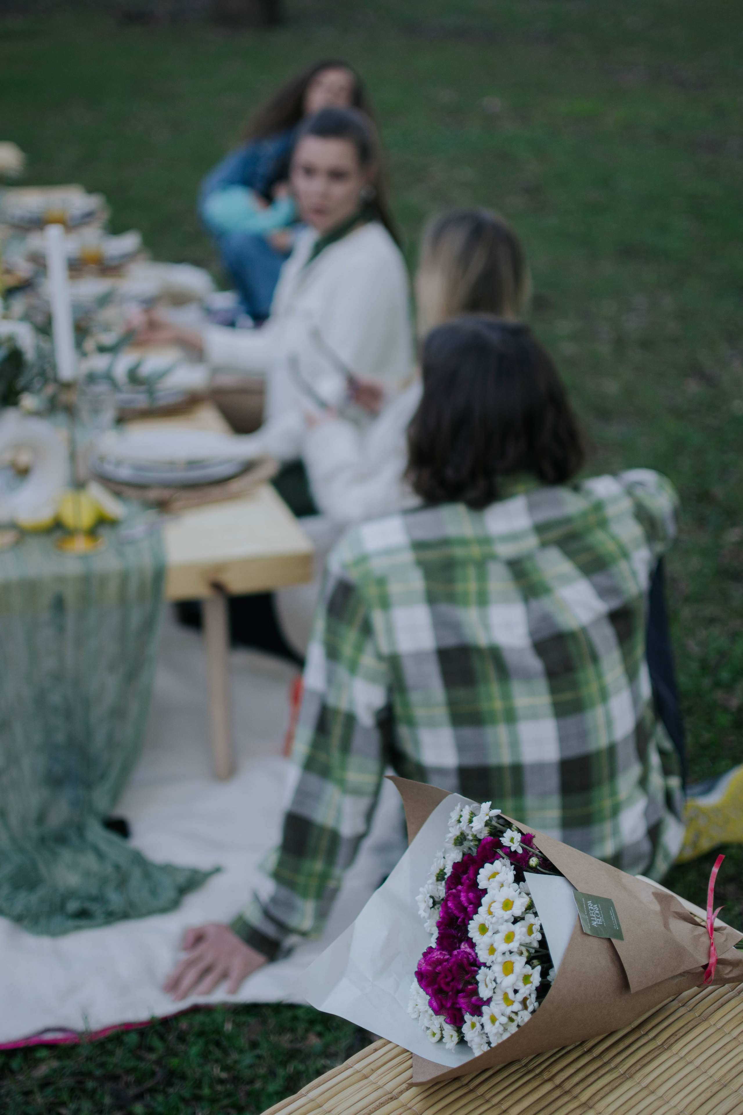 Birthday picnic. Reportage photofgraphy. Buenos Aires. Photographer @elmirkami in the city of Buenos Aires