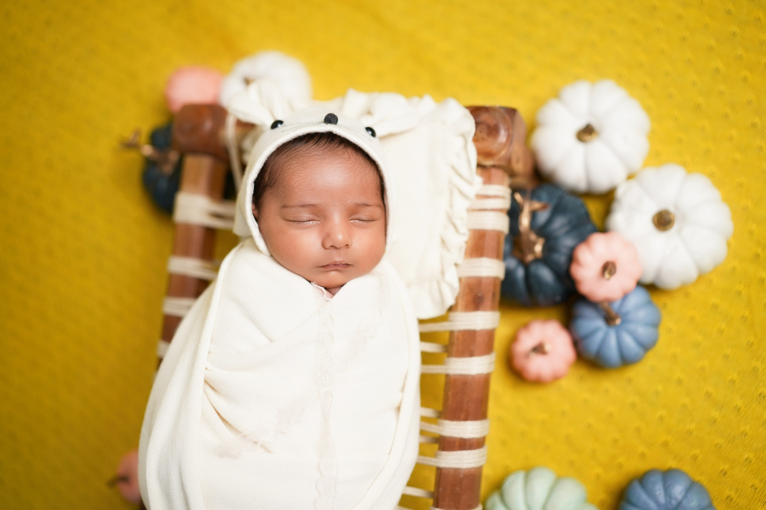 New born. TNF photo & filming