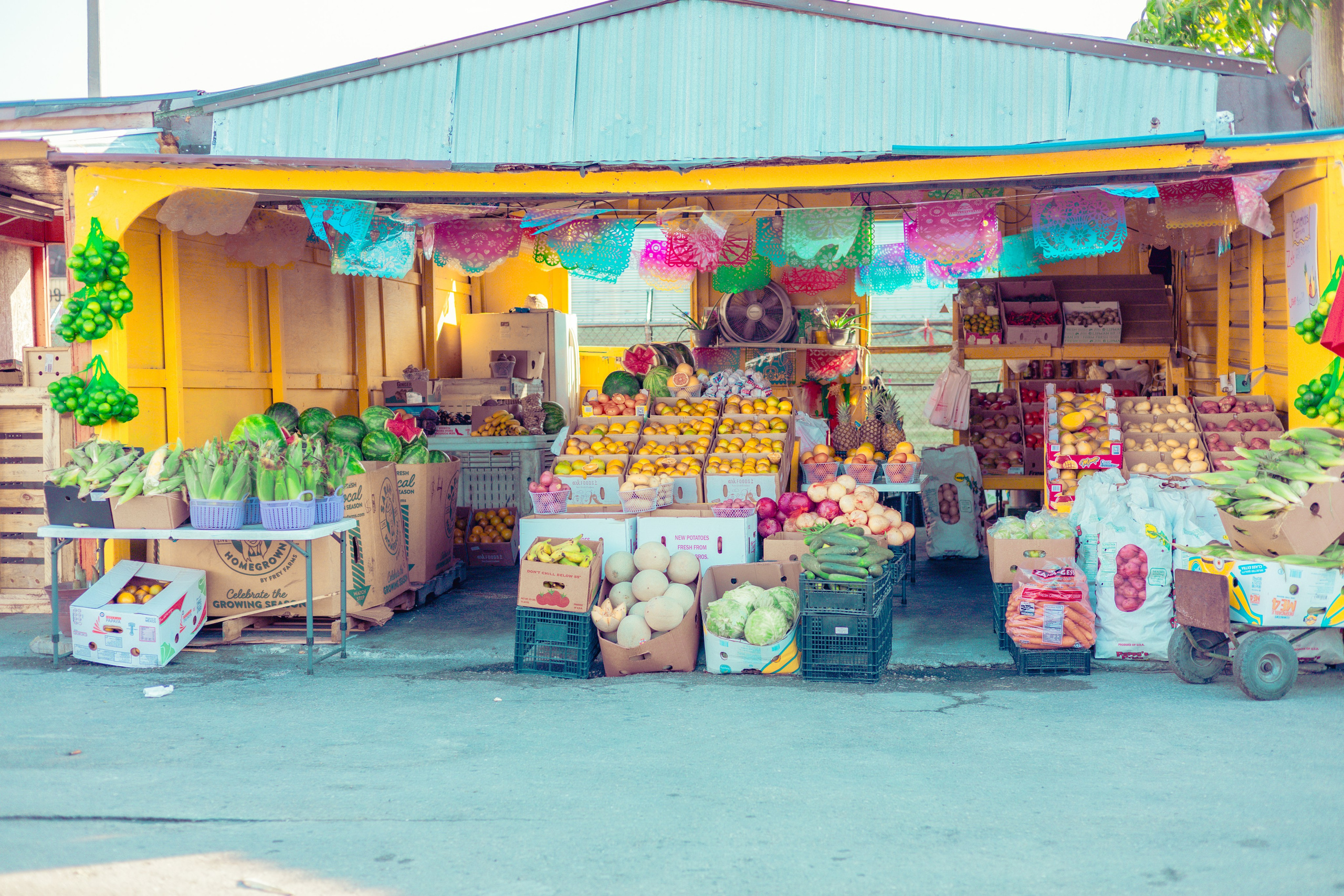 Immokolee. Out and About 239