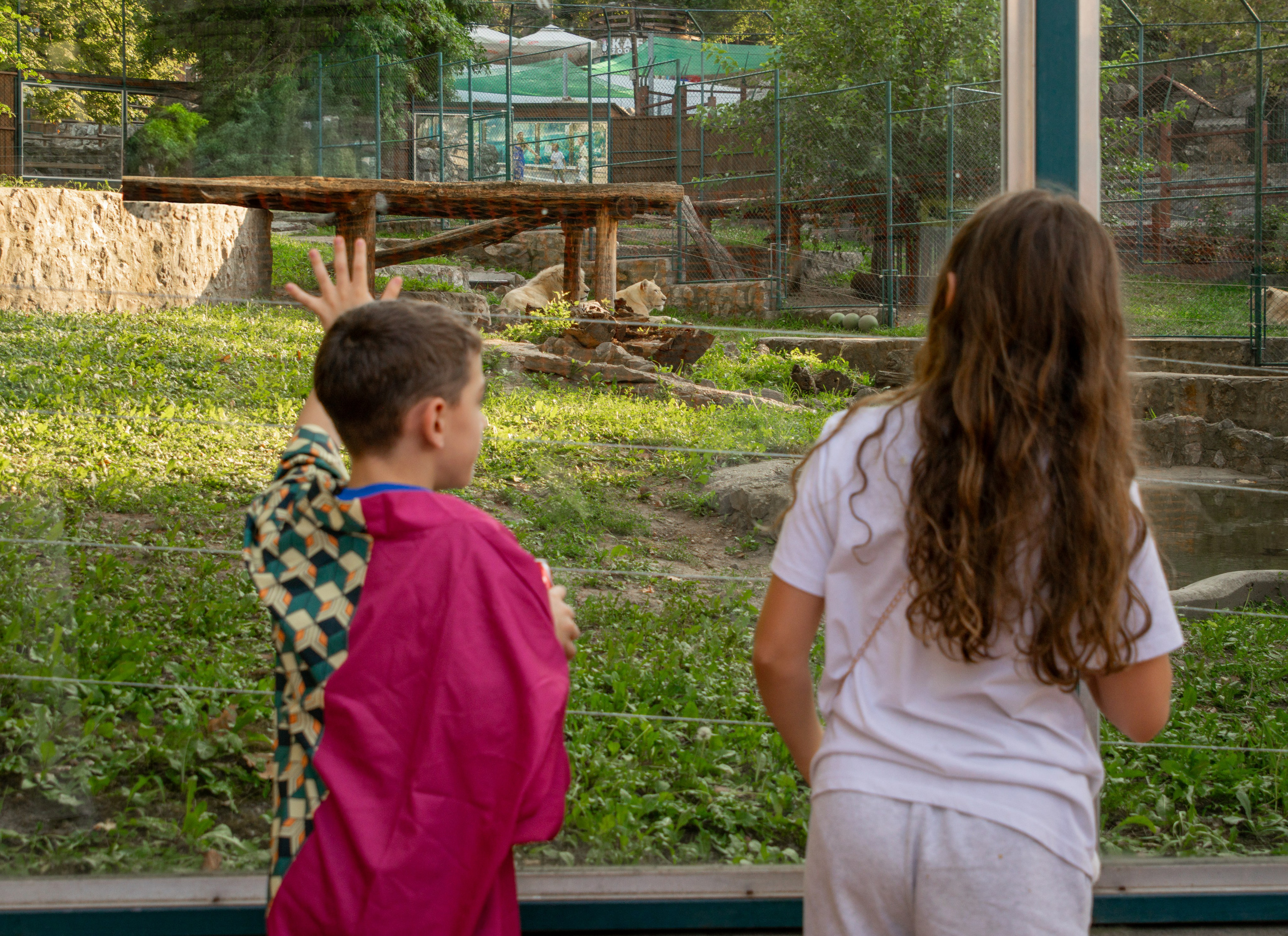 Belgrade ZOO. Victoria Fedoseenko. Photographer from Serbia