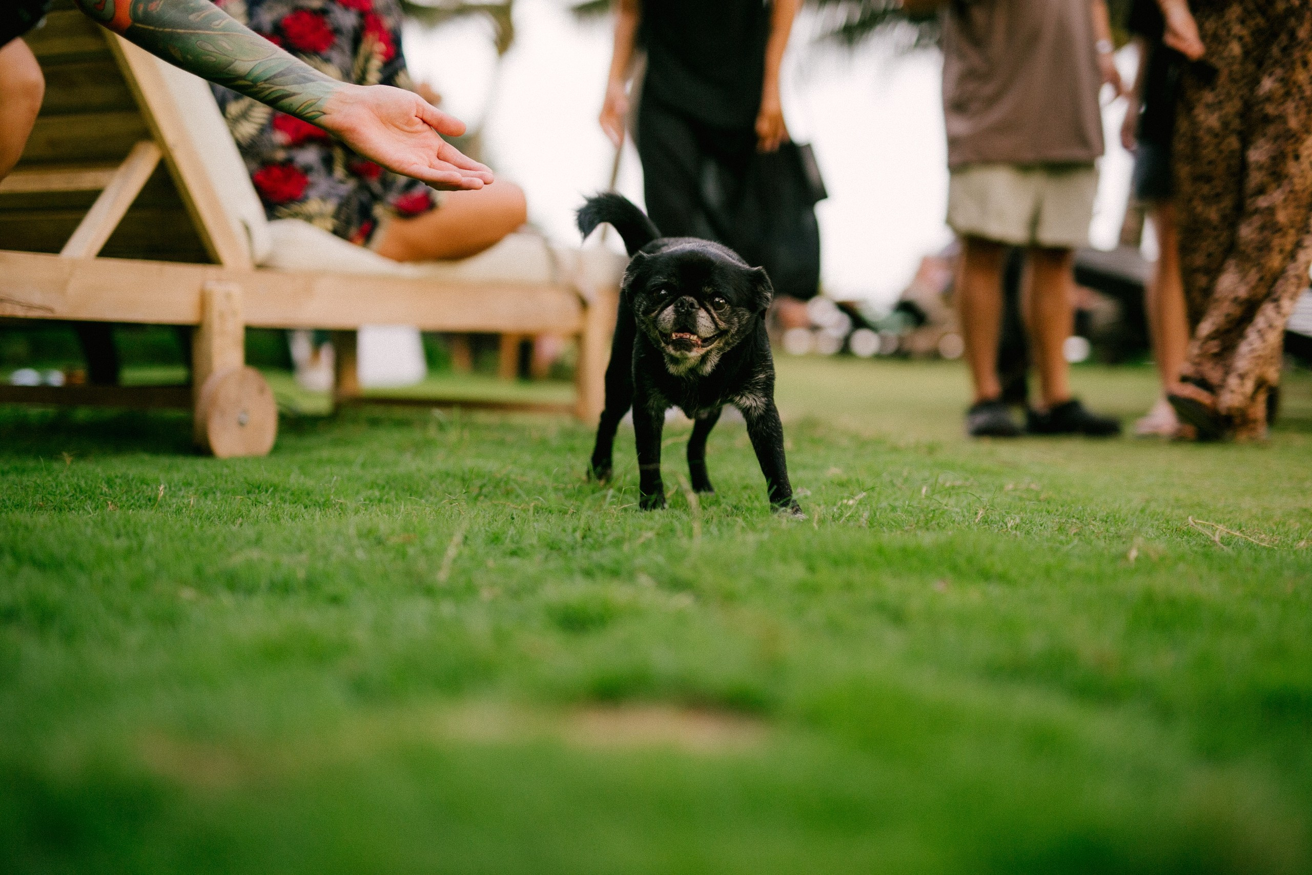Good Story X PowerHouse. Alex&Polly | Wedding & Family Photographer Tbilisi