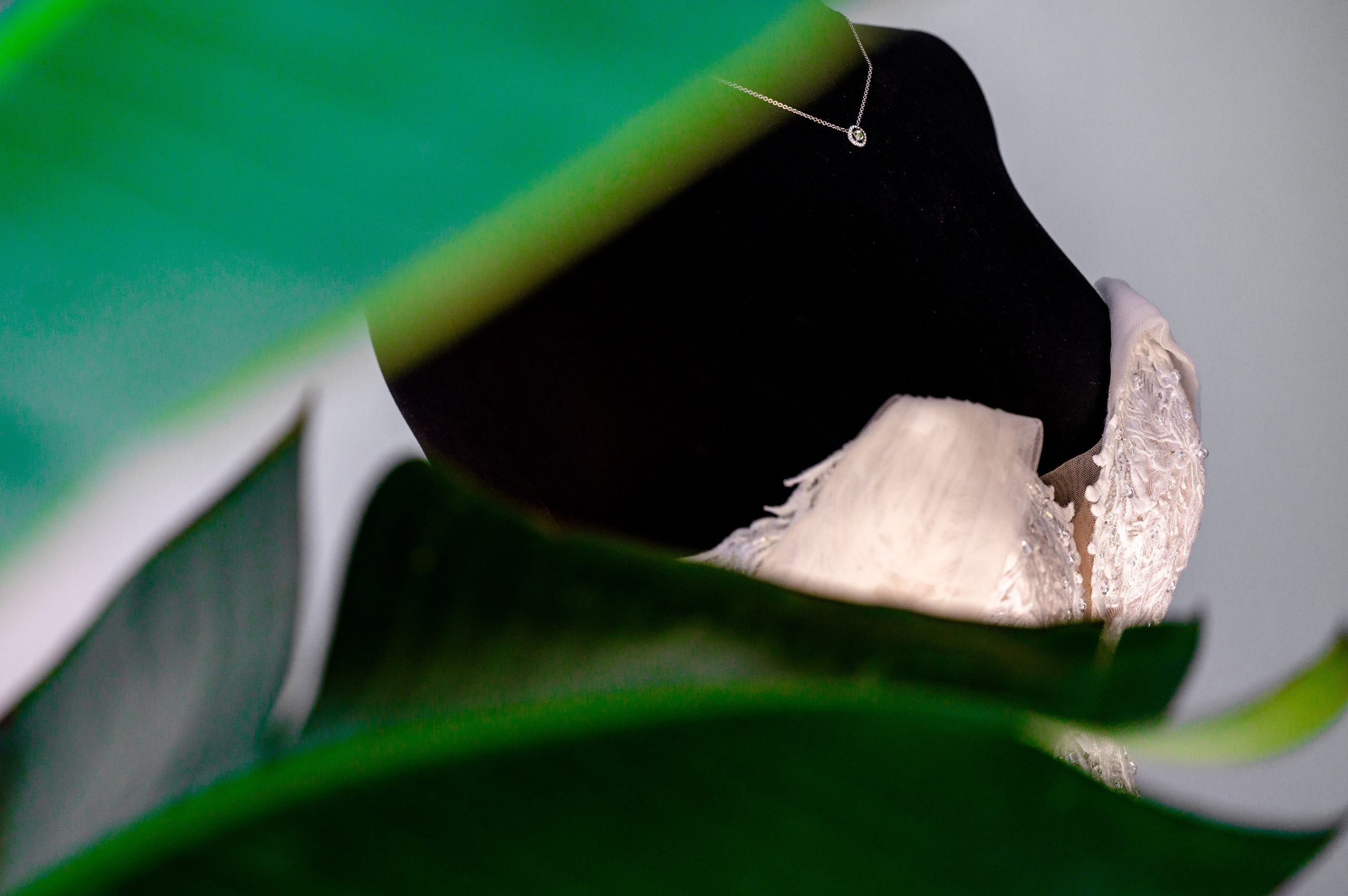 BYZO MEDIA. PETRU BYZO - family and children photographer in ROMANIA