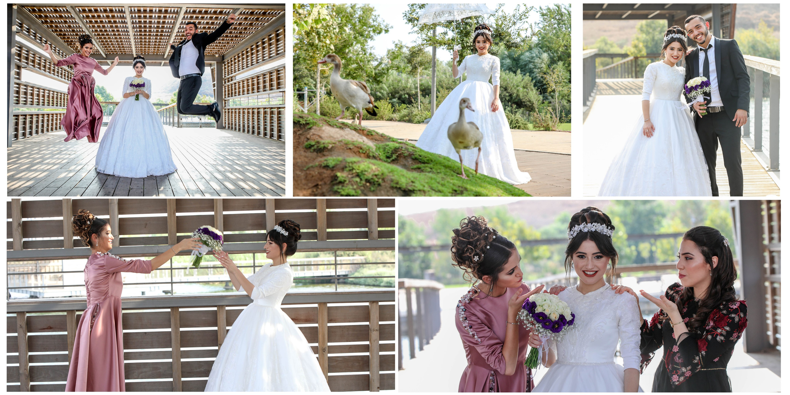 A&D. משה מנשה צלם חתונות