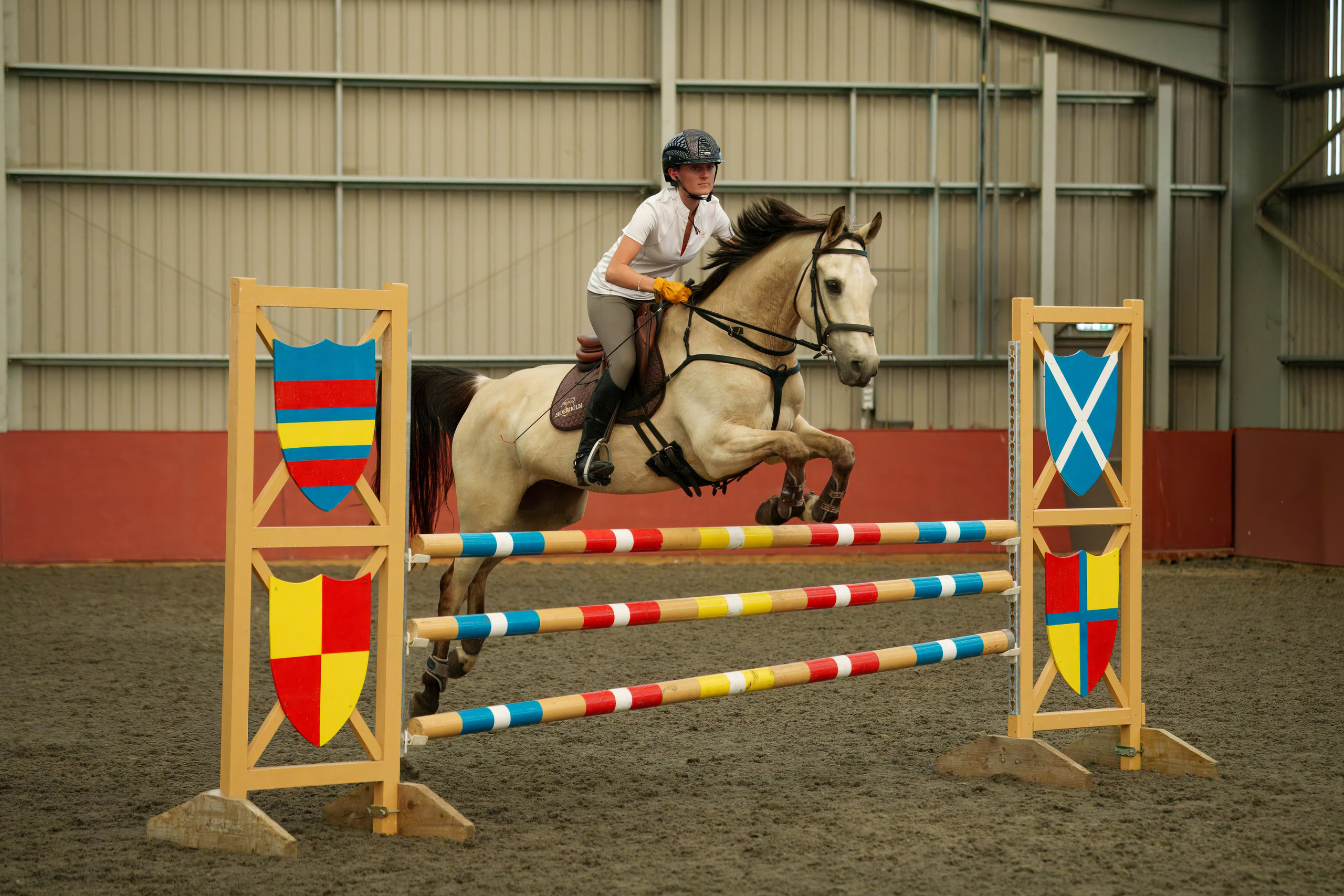 Show Jumping Photography in Leicestershire | Equine Action Shots by El. Leicestershire Equine Photography by El | Authentic Equine Portraits & Events