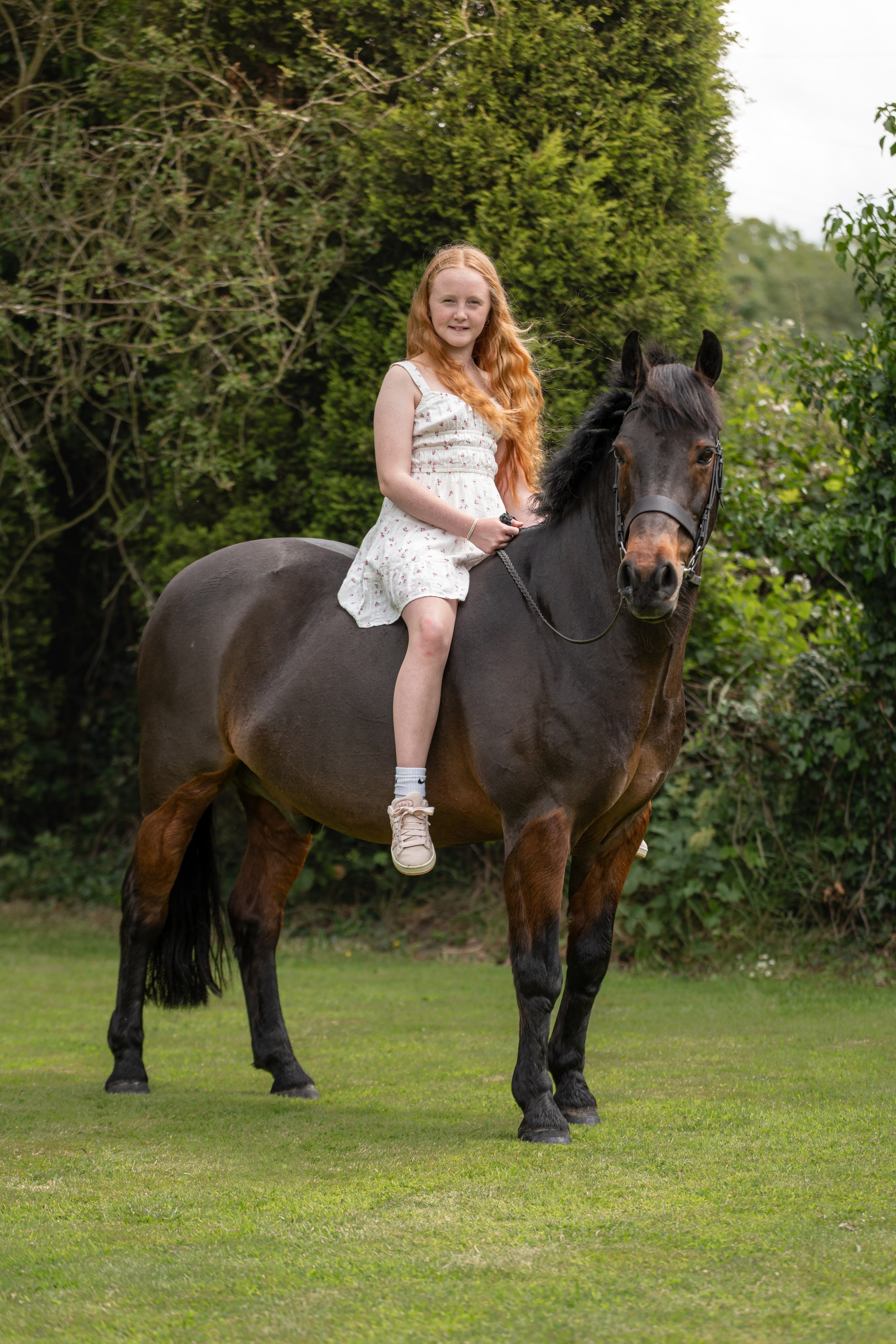 Equine Photography Portfolio | Leicestershire Horse Portrait Photographer. Leicestershire Equine Photography by El | Authentic Equine Portraits & Events