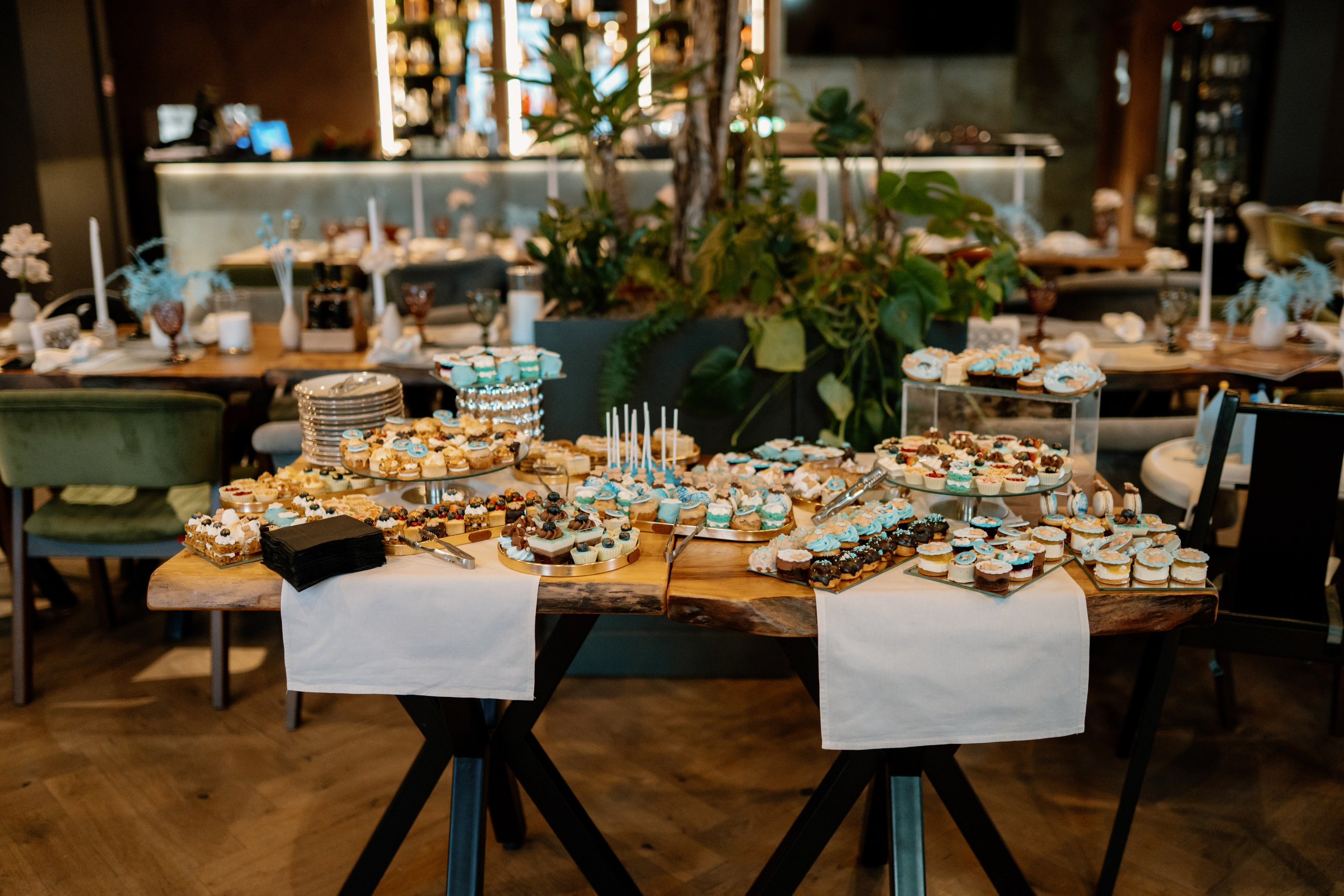 Amza — 1 year. Gabrielacojocariu.com