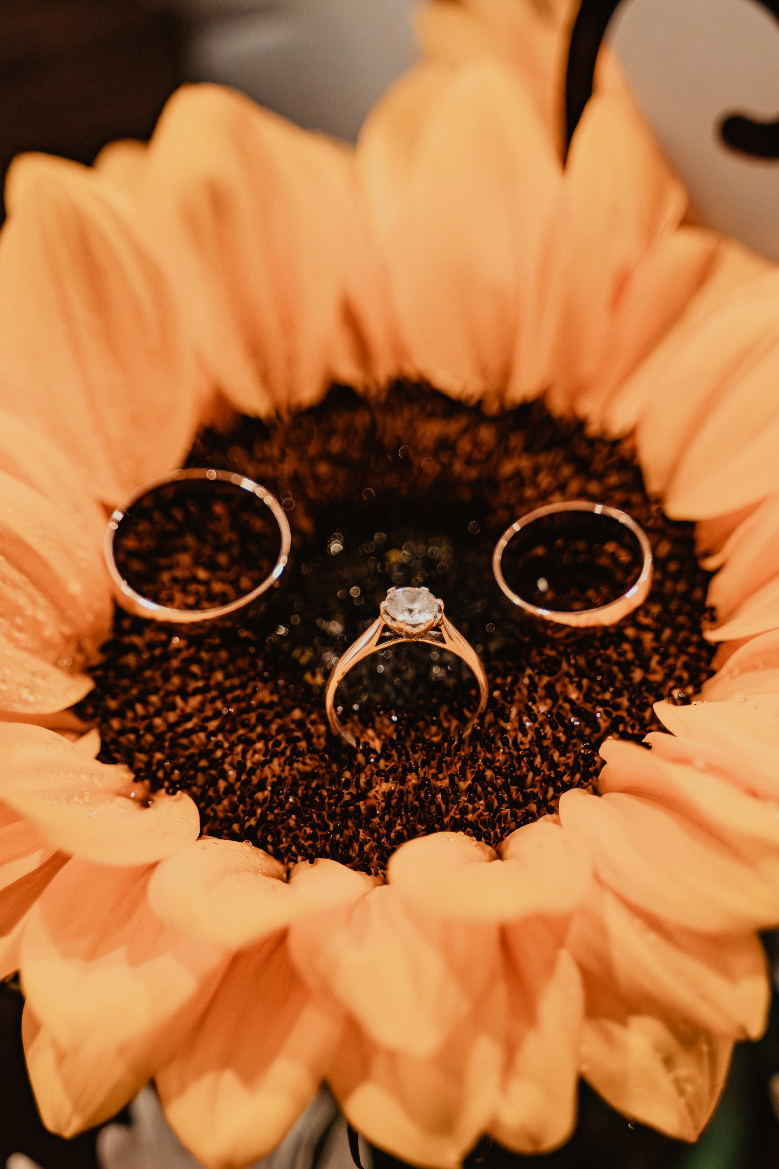 FERNANDO + MARIBEL | BODA RELIGIOSA. Studio KVTA | Fotografía y Video de Bodas en Arequipa