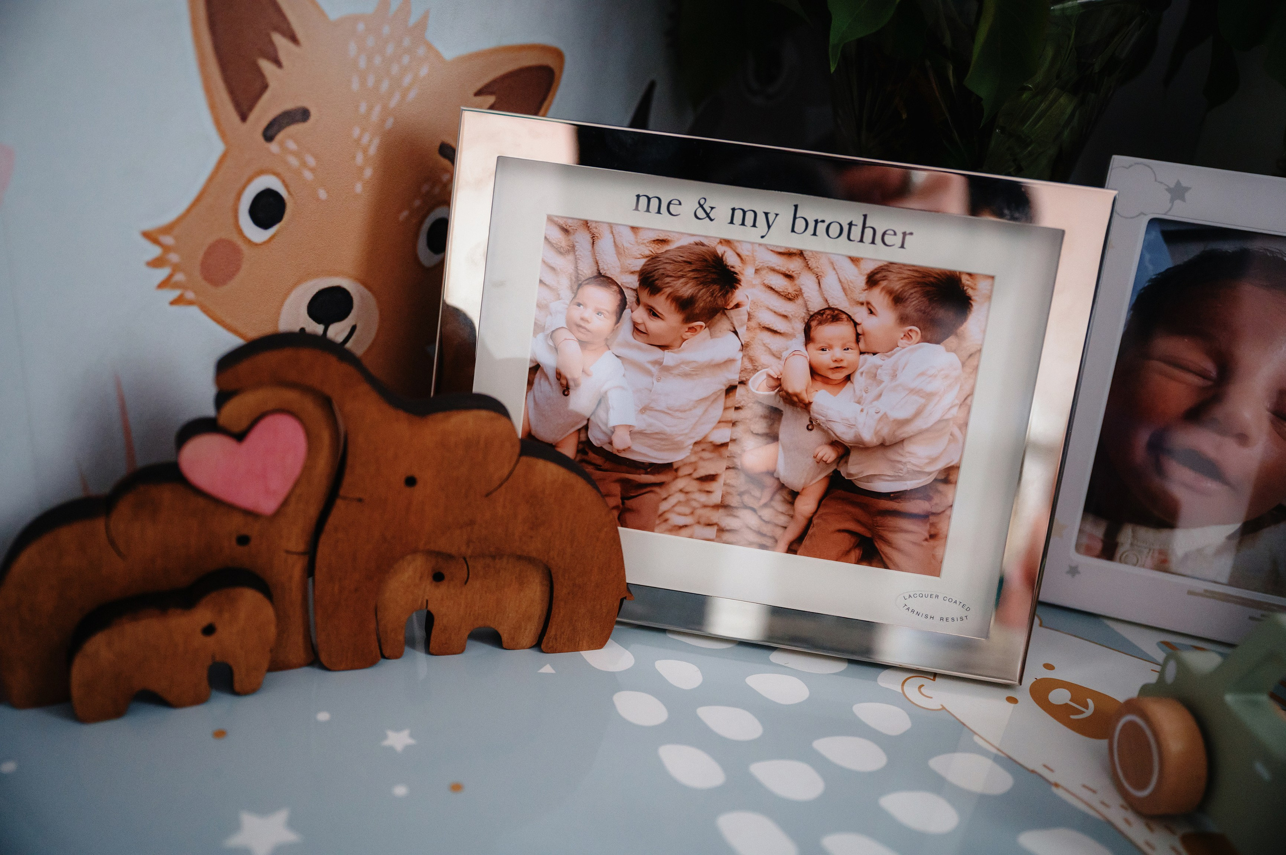 Povestea lui Vladimir. Laurentiu Stefan StoryTeller