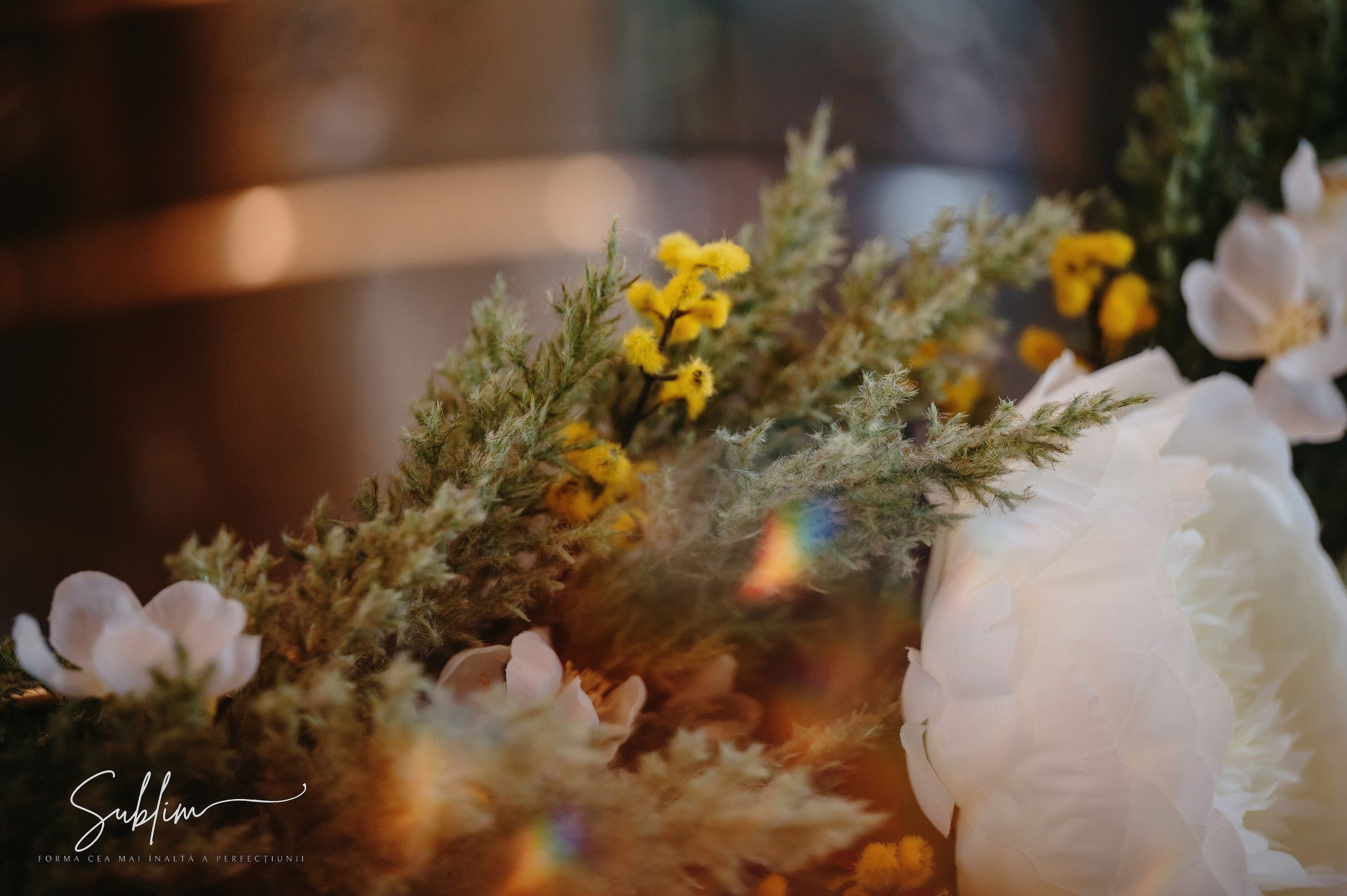 Sublim. Laurentiu Stefan StoryTeller