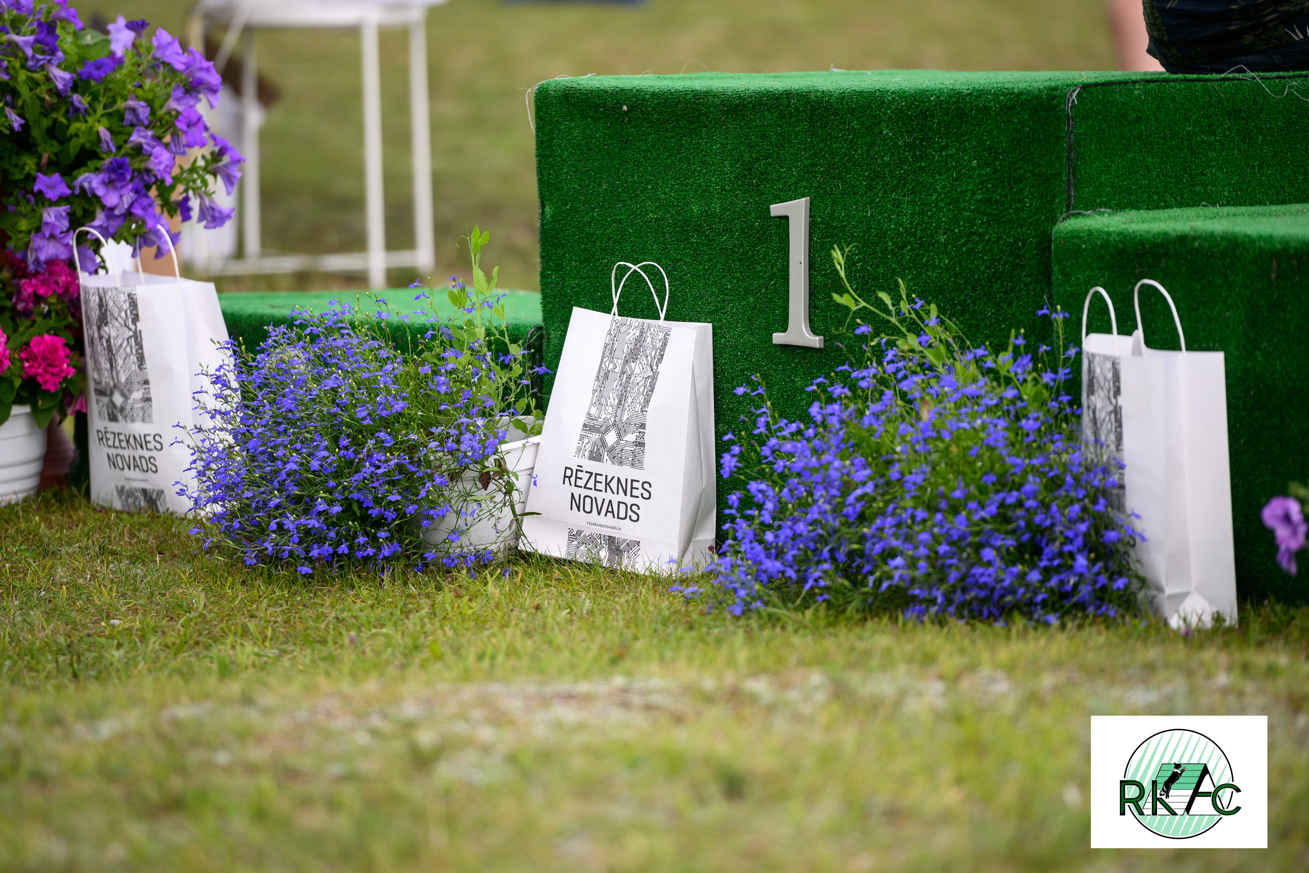 Suņu sacensības veiklībā. Ritvars Pujats Emotion Photographer