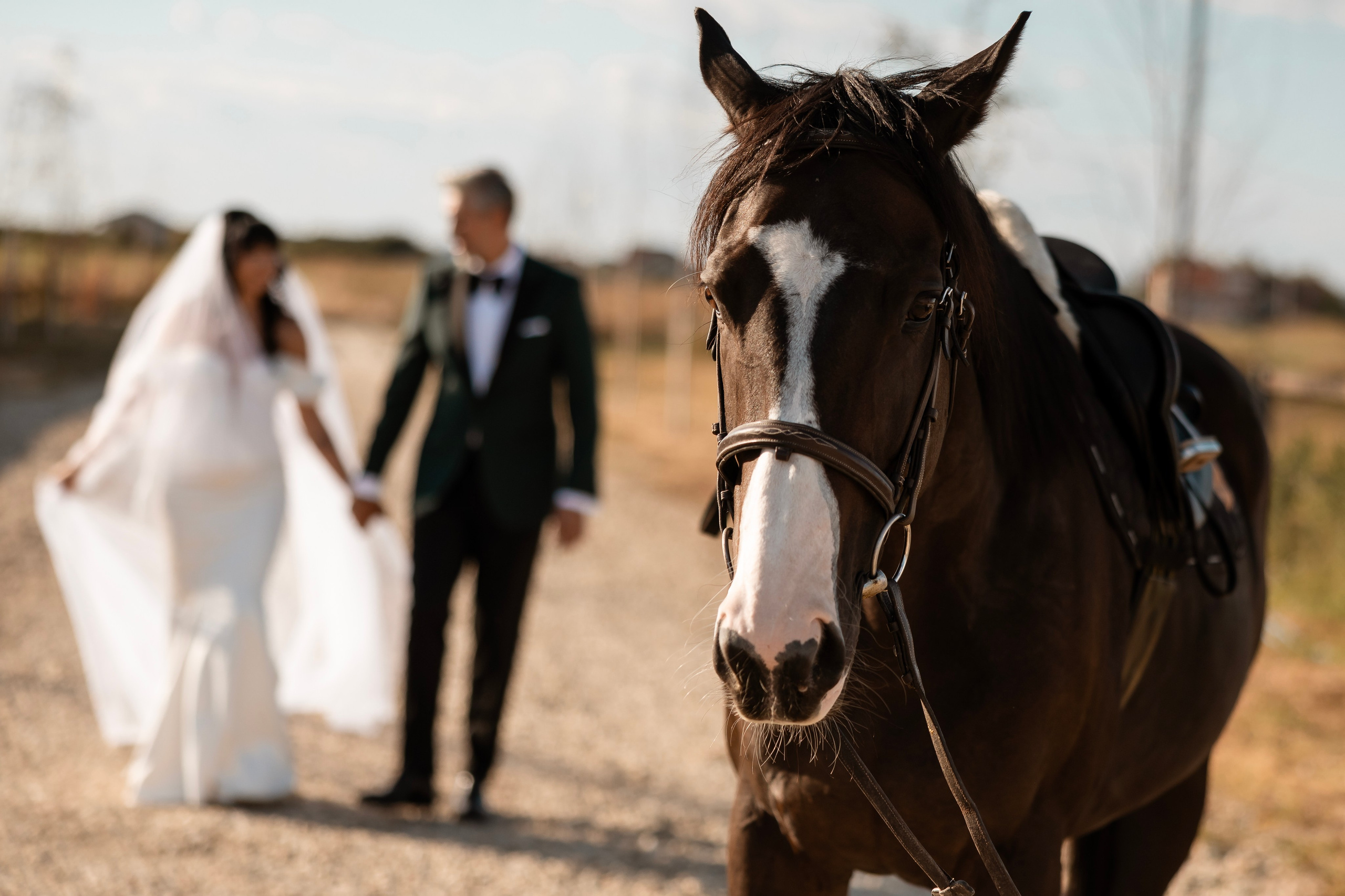 Corina & Adrian. Blink Photo — Fotografie & Videografie Nuntă