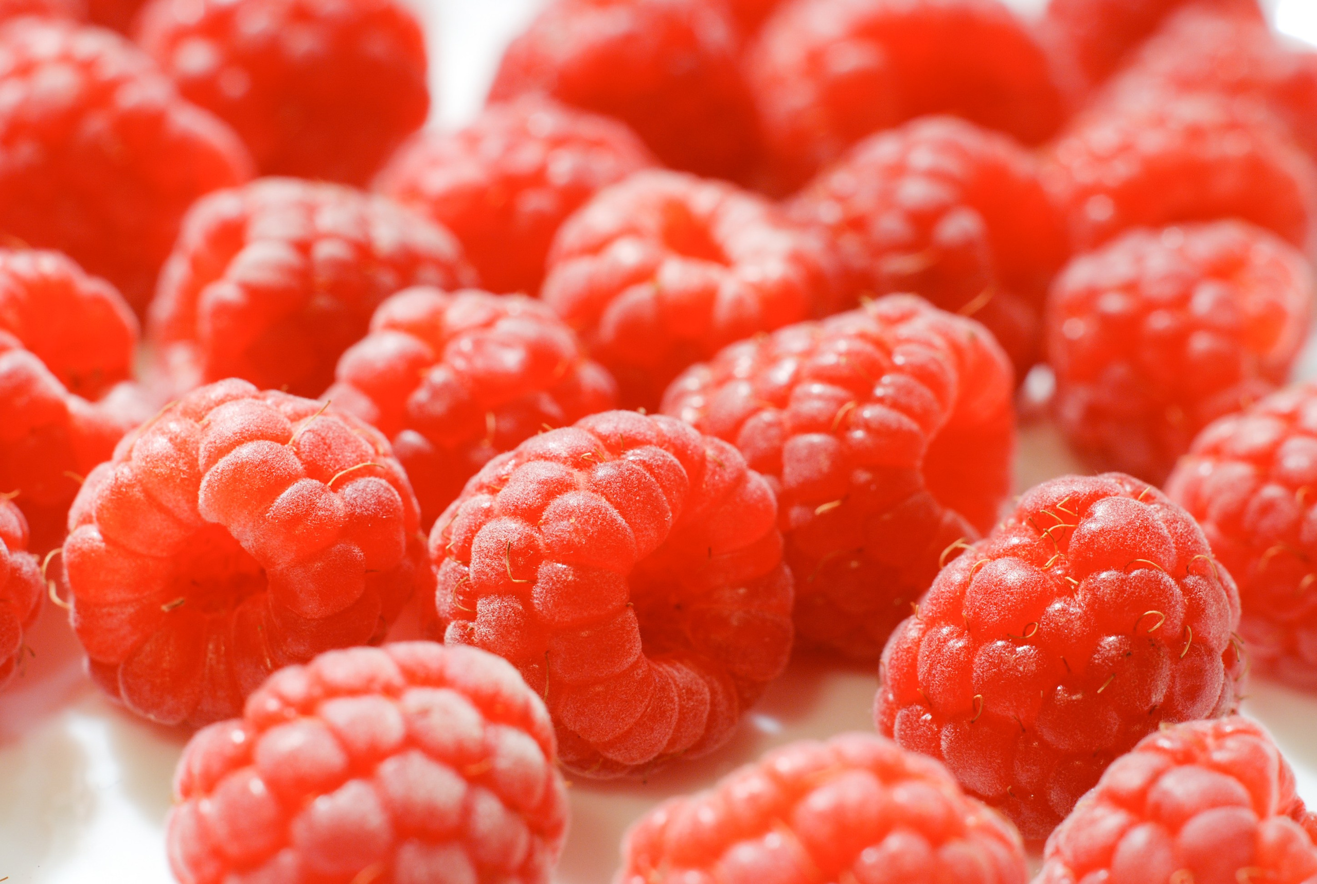 Raspberry closeup on white background - photographer Andrey Dunin