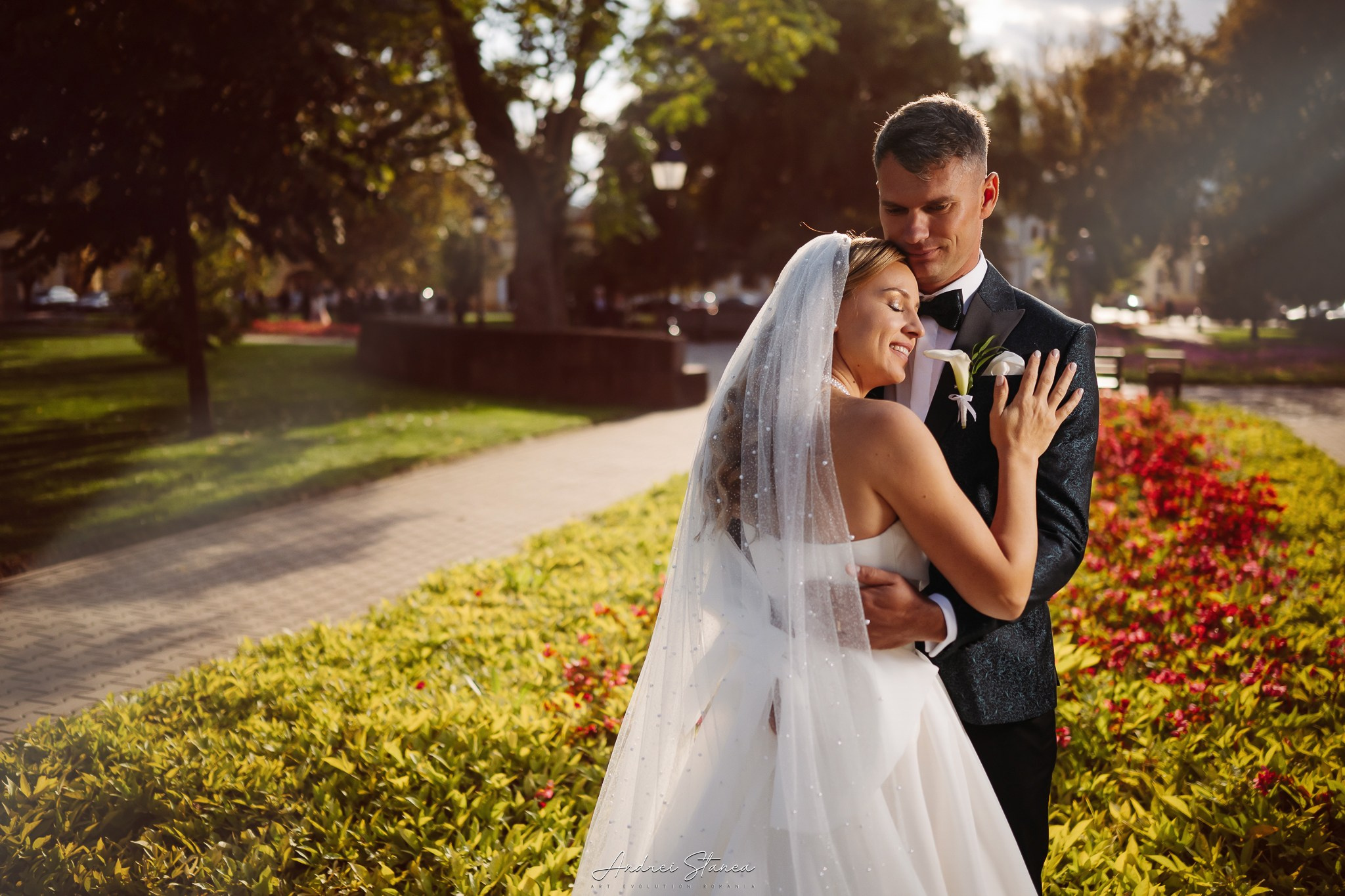 Portofolio. Andrei Stanea