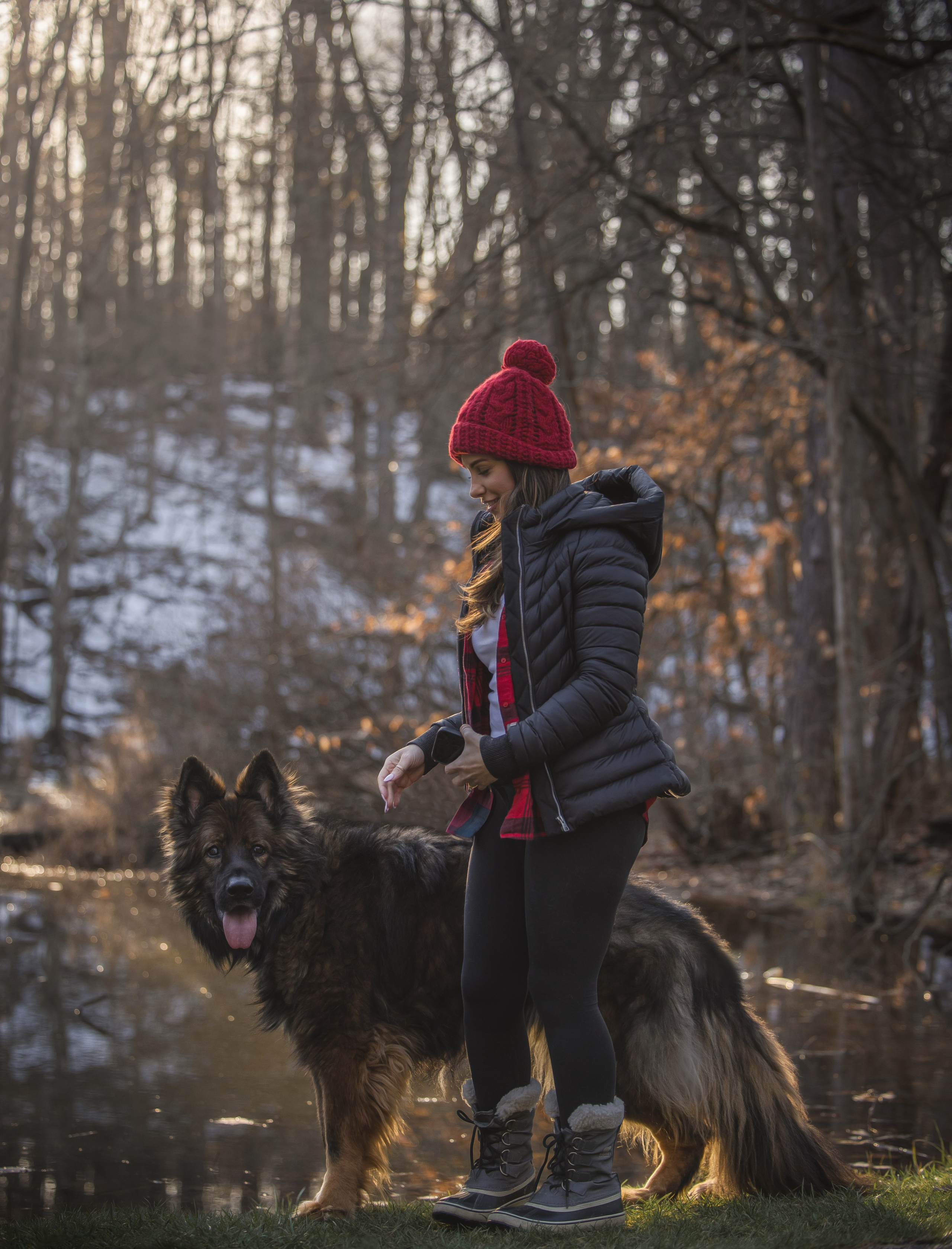 Ezra & Laura. Pet Photographer Viktoriya Aleshenko