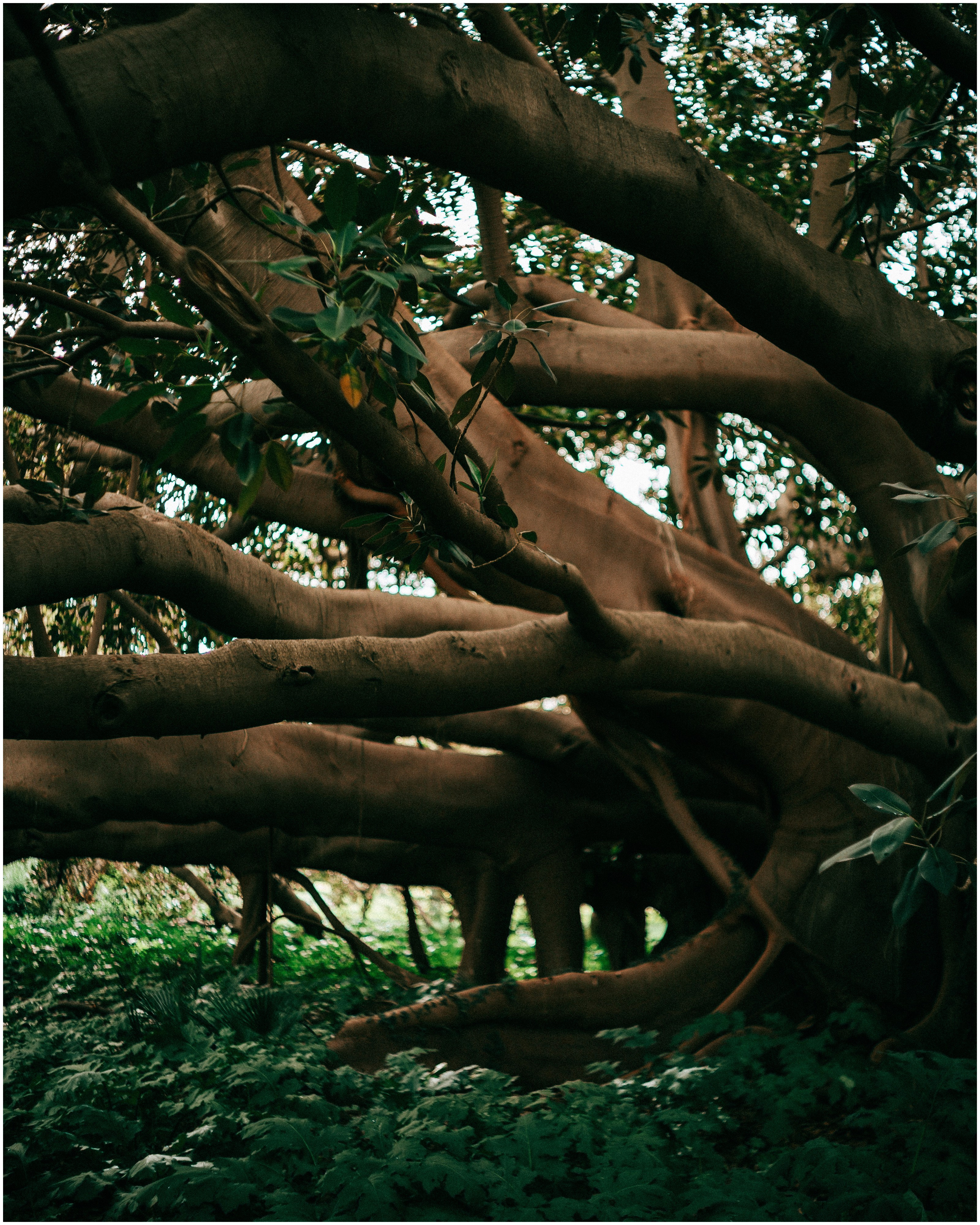 PALERMO. Photographer Inna Mendelson