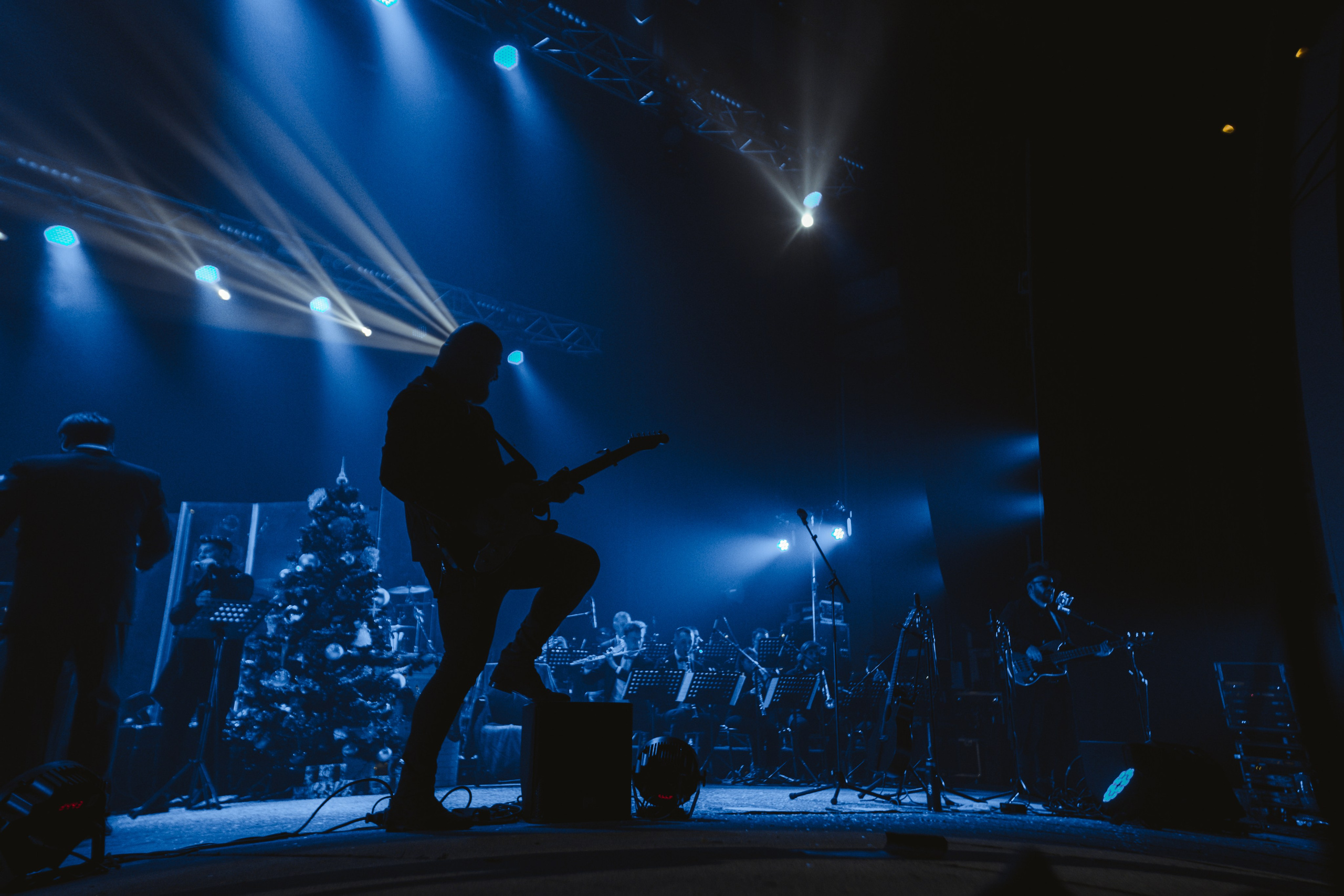 Скай. Репортажний фотограф/анімаліст КИЇВ