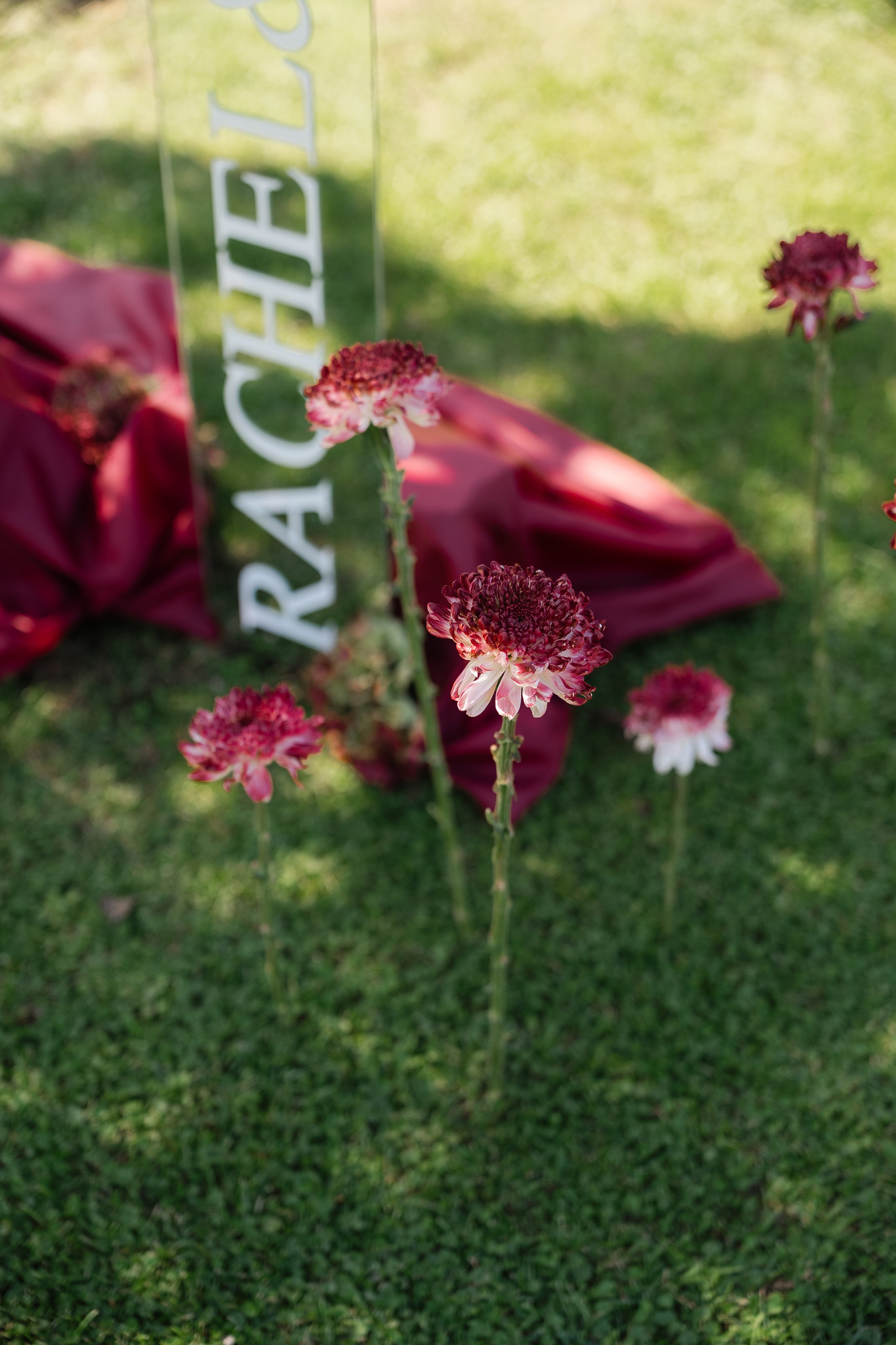R&J. Alessandra Zanghi | Lake Garda Wedding Planner