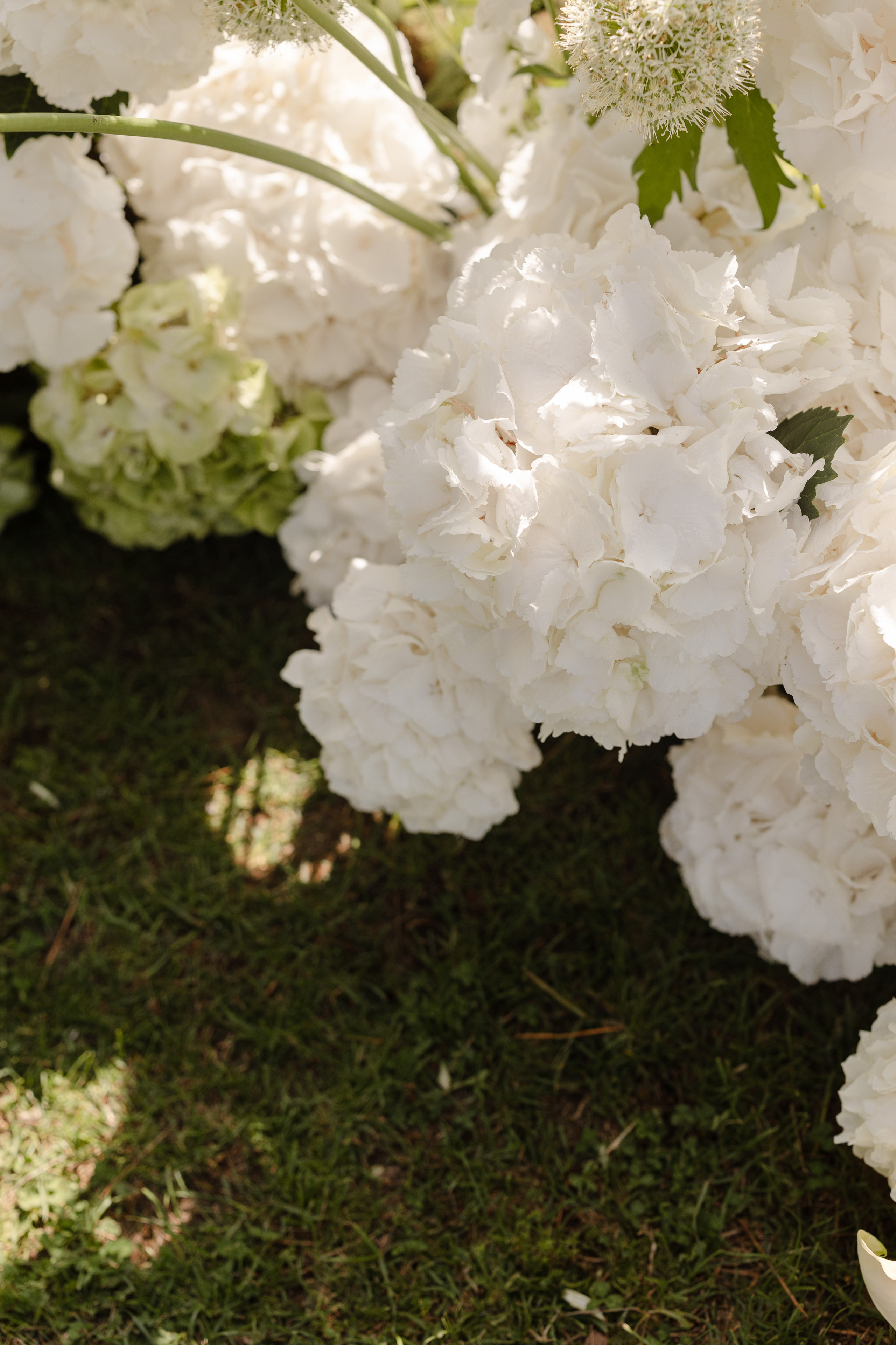How to Choose the Perfect Season for Your Tuscan Wedding. Alessandra Zanghi | Garda Lake Wedding Planner