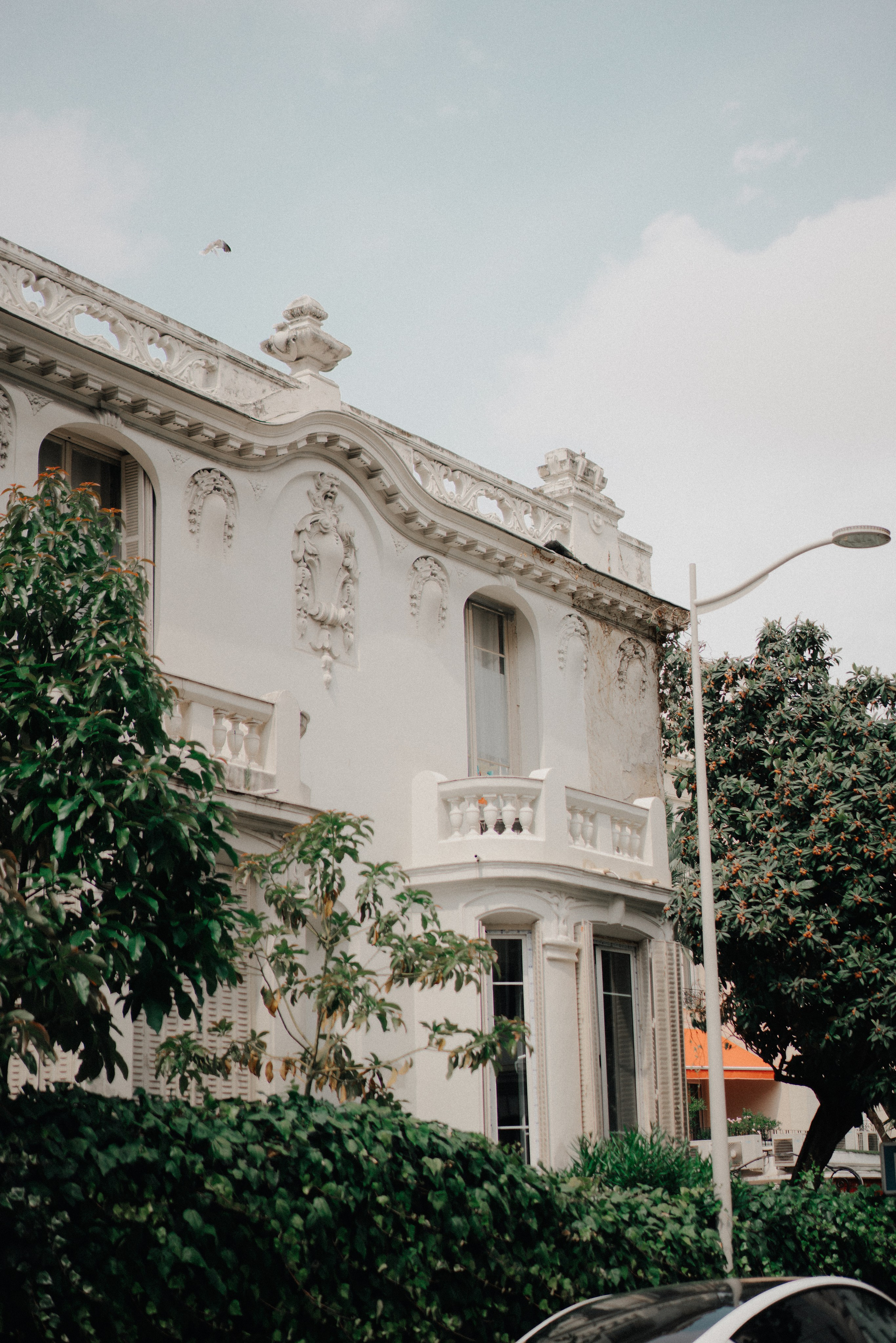 Portrait, lookbook and family photographer in Riga, LATVIA