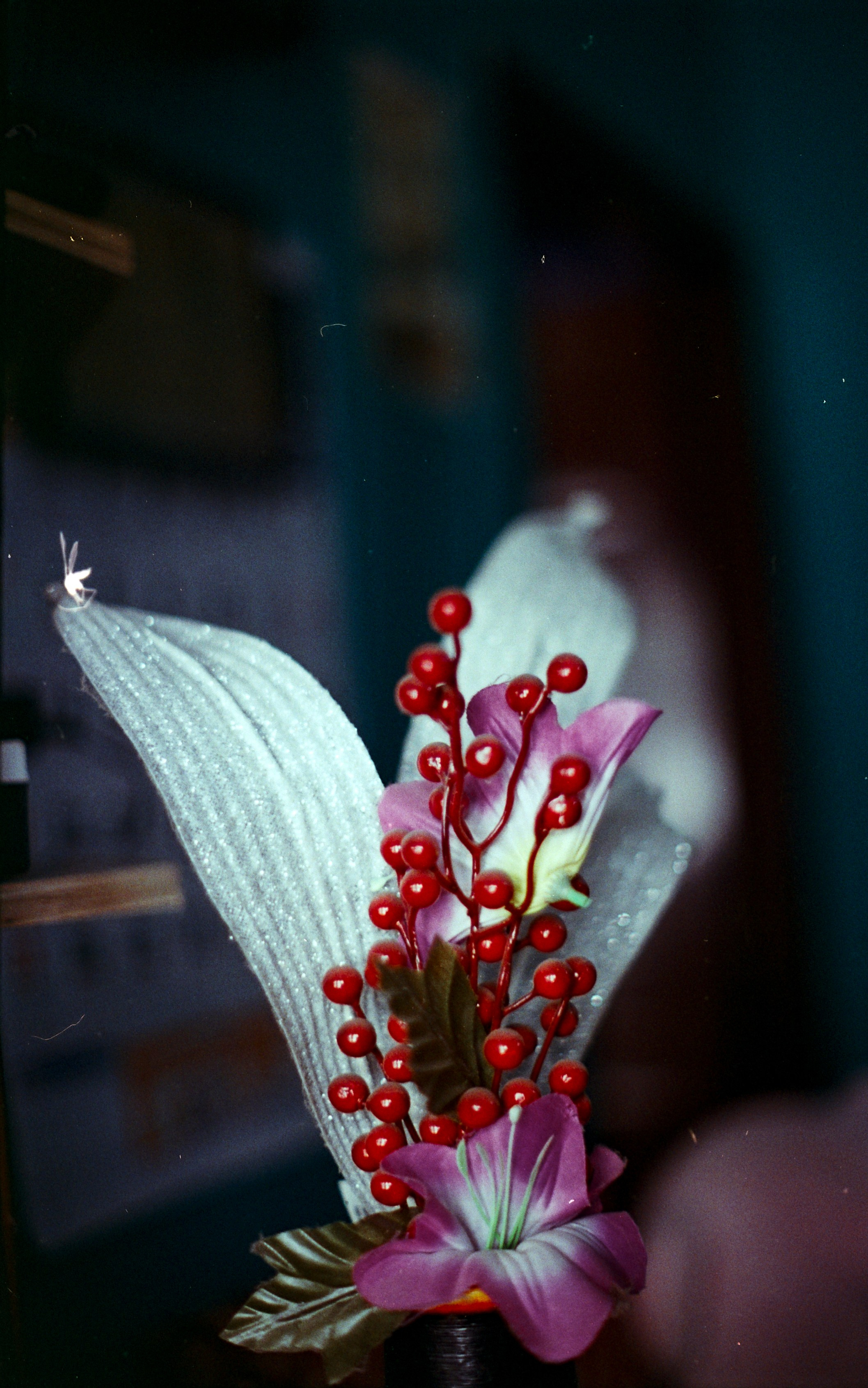 Everything on Film. Portrait, Fashion & Fitness Photography in Chennai| SunnyHazePhotography