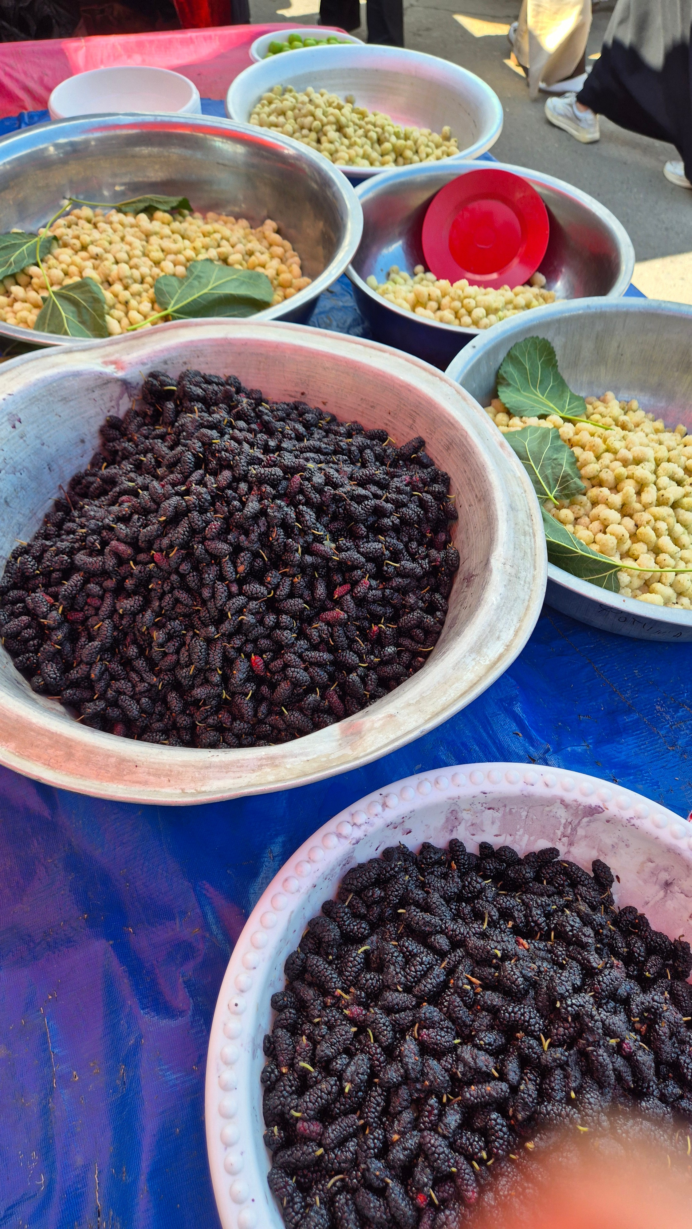 Uzbekistan 2024. Photographer Marina, city of Nuremberg