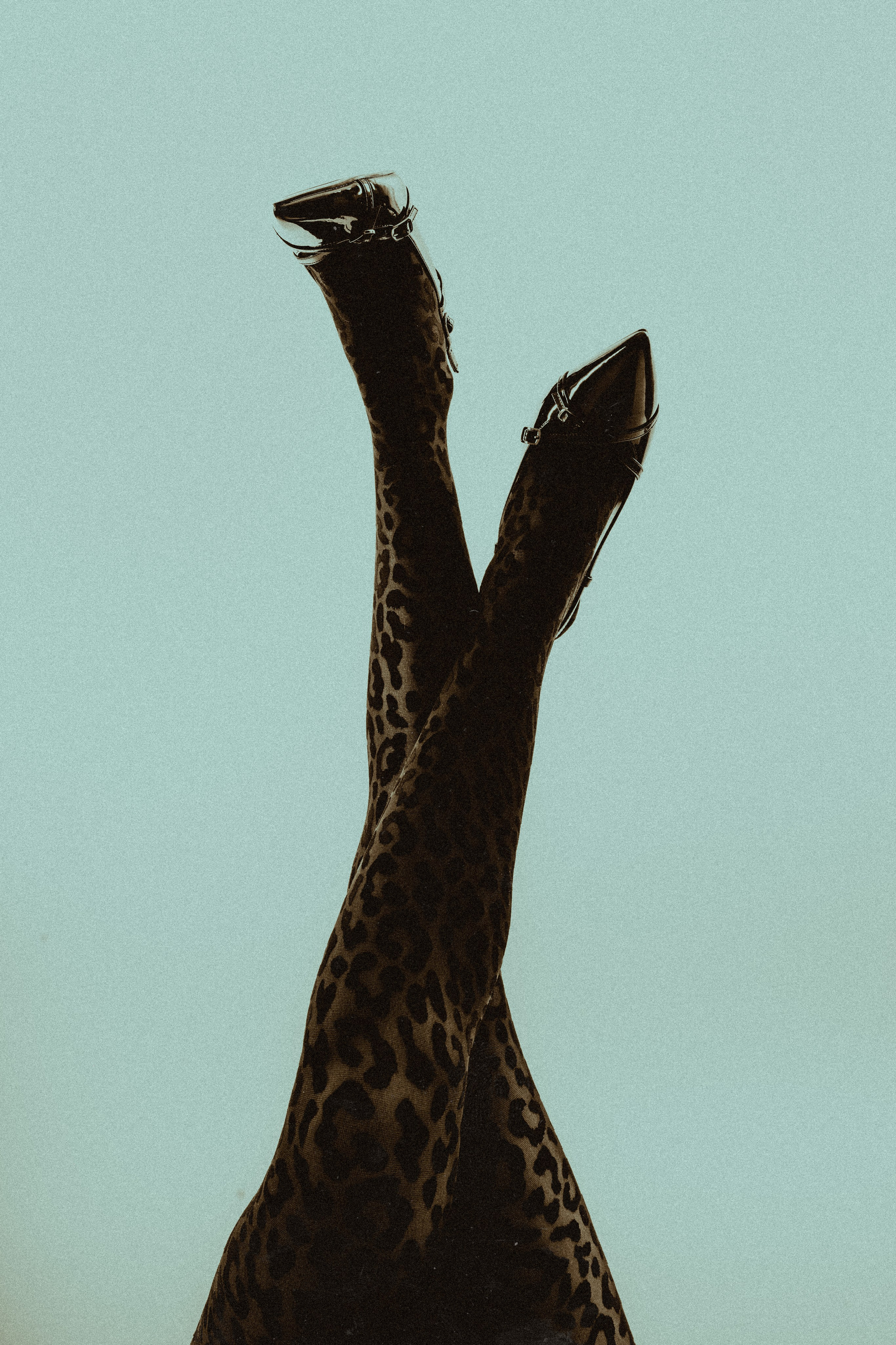 PHOTOSHOOTS. Hi, welcome!