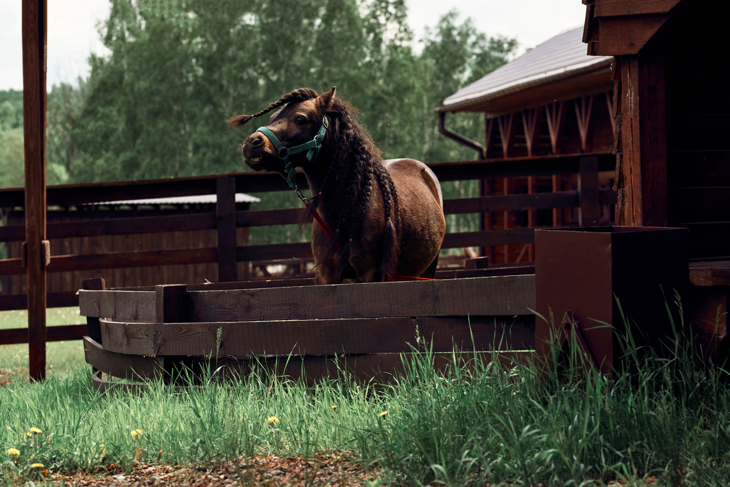 Ранчо Шарье. Место, где забываешь о времени. Фотограф в Барселоне Жанна Захарченко