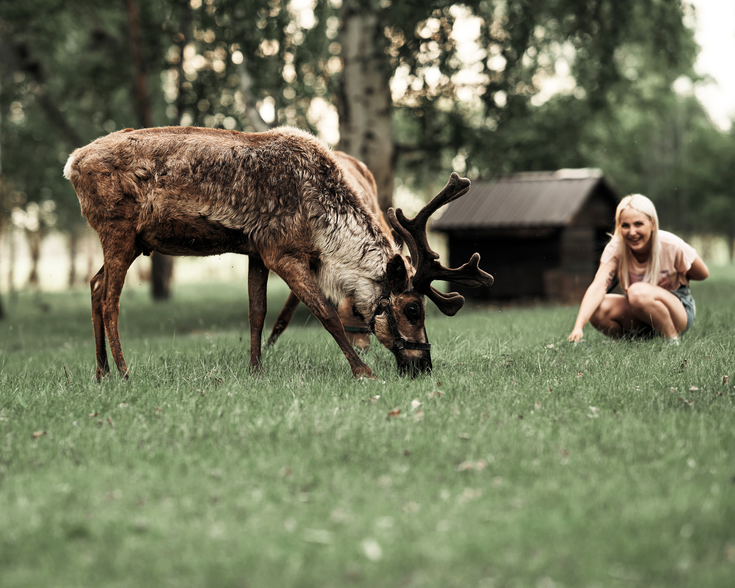 Ранчо. Фотограф в Барселоне Жанна Захарченко