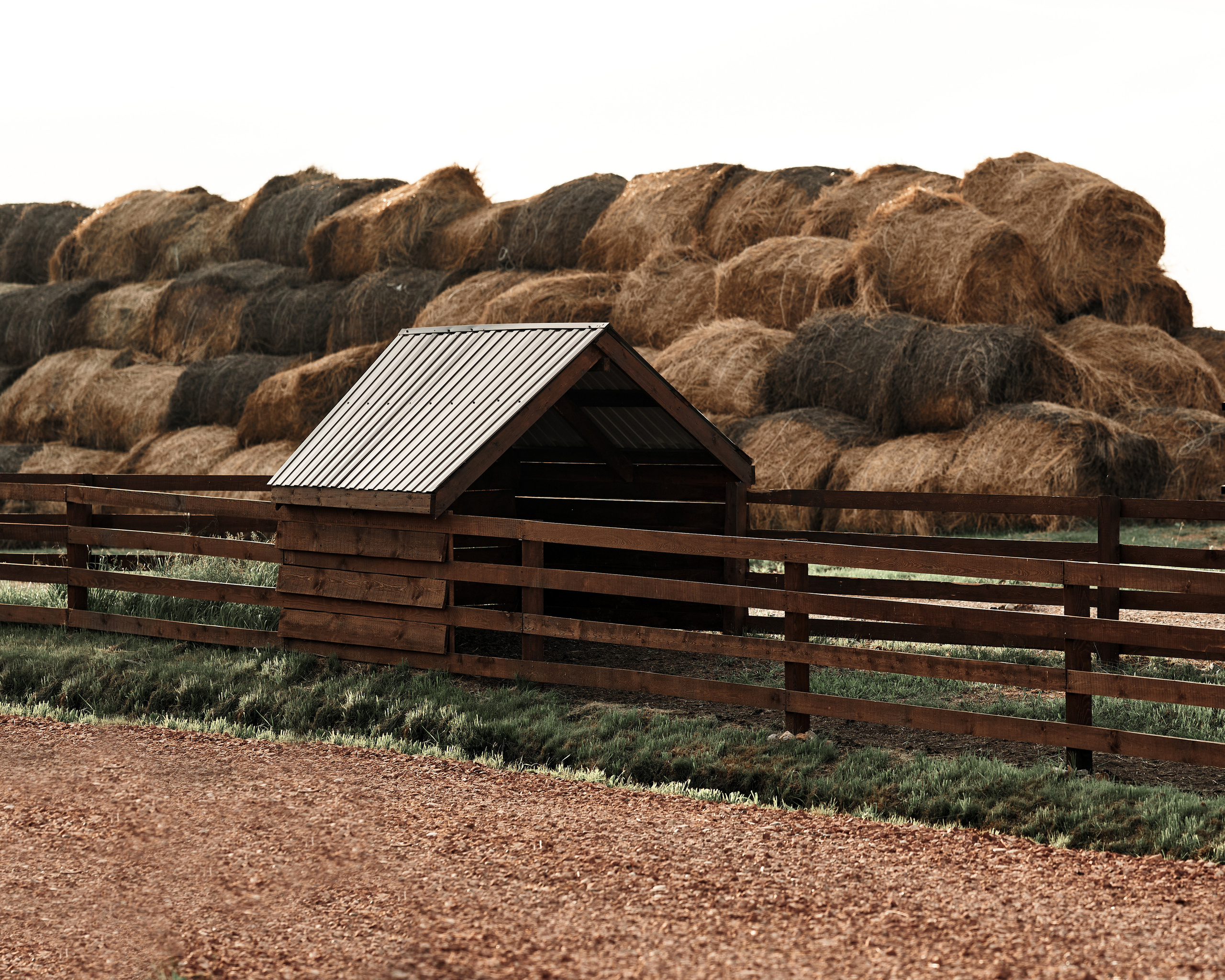 Ранчо. Фотограф в Барселоне Жанна Захарченко