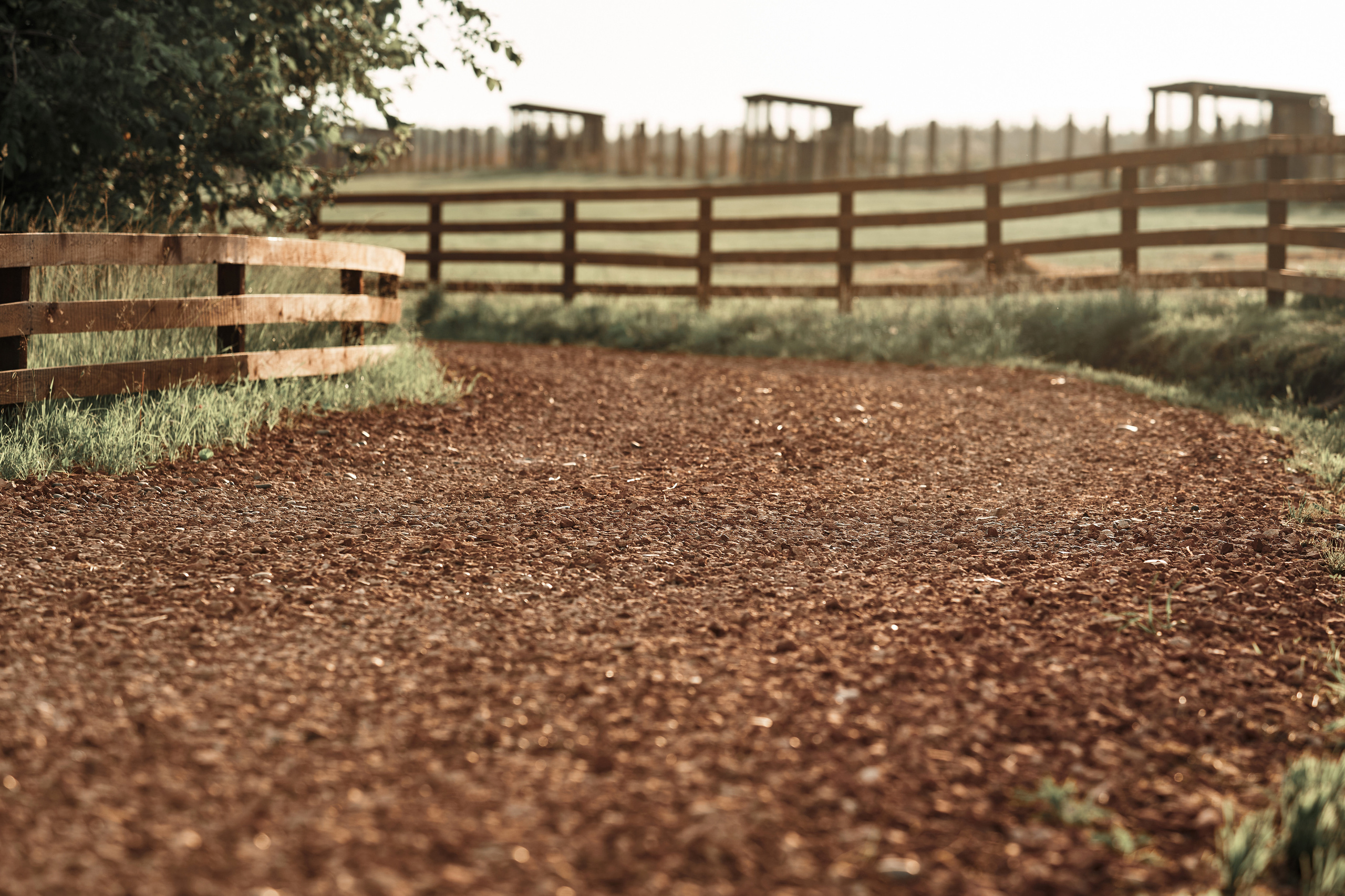 Ранчо. Фотограф в Барселоне Жанна Захарченко