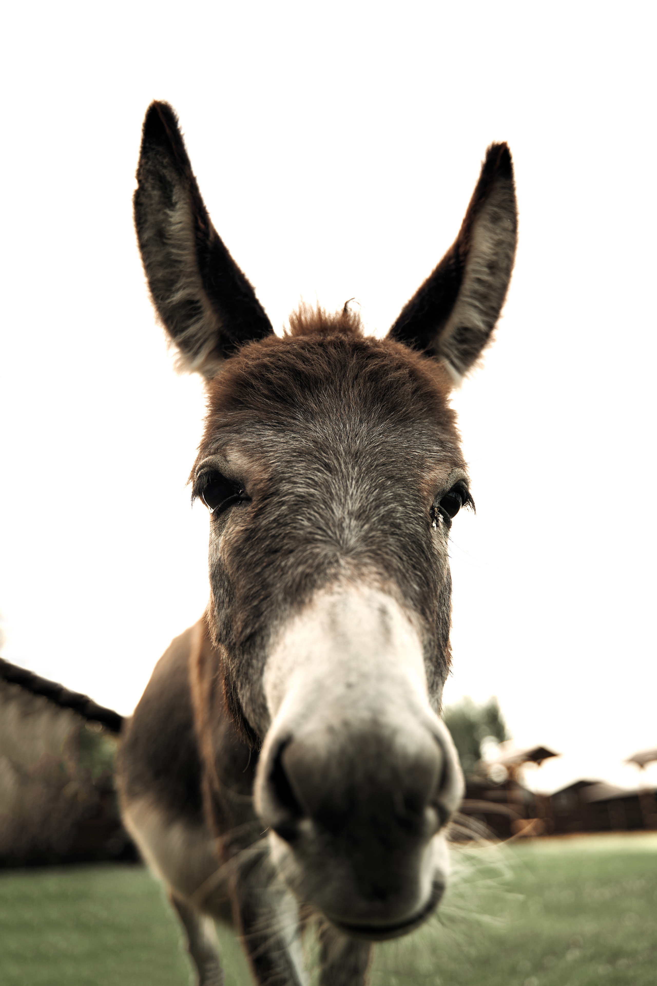 Ранчо. Фотограф в Барселоне Жанна Захарченко