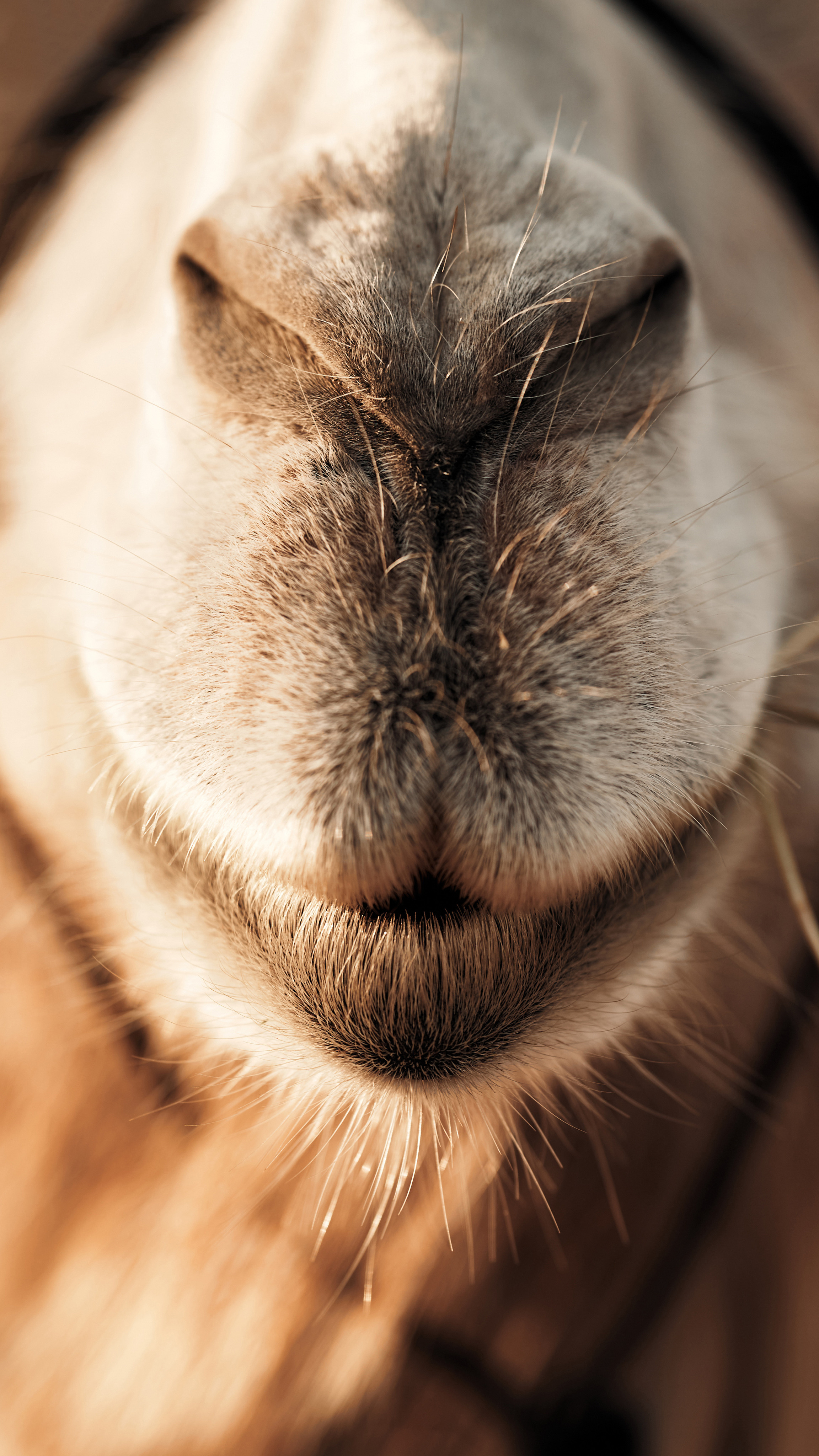 Ранчо. Фотограф в Барселоне Жанна Захарченко