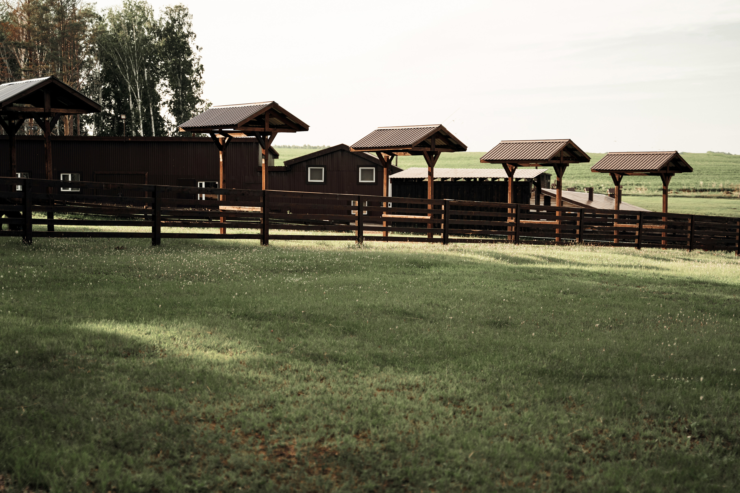 Ранчо. Фотограф в Барселоне Жанна Захарченко