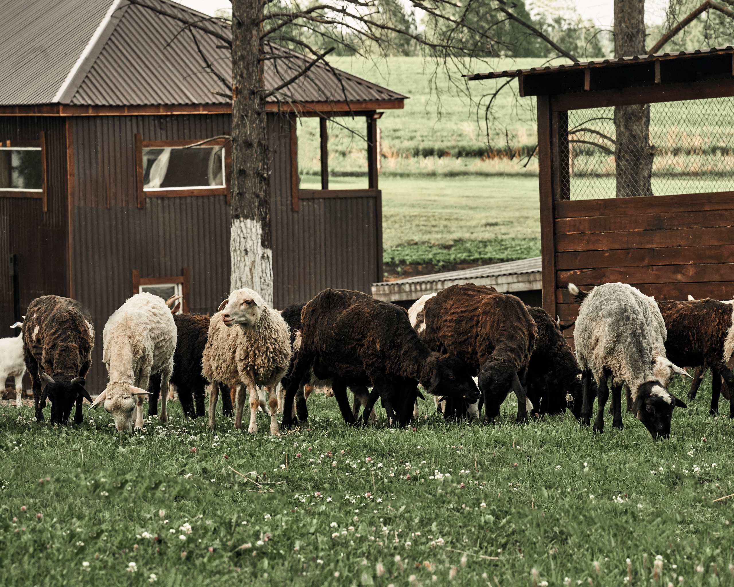 Ранчо. Фотограф в Барселоне Жанна Захарченко