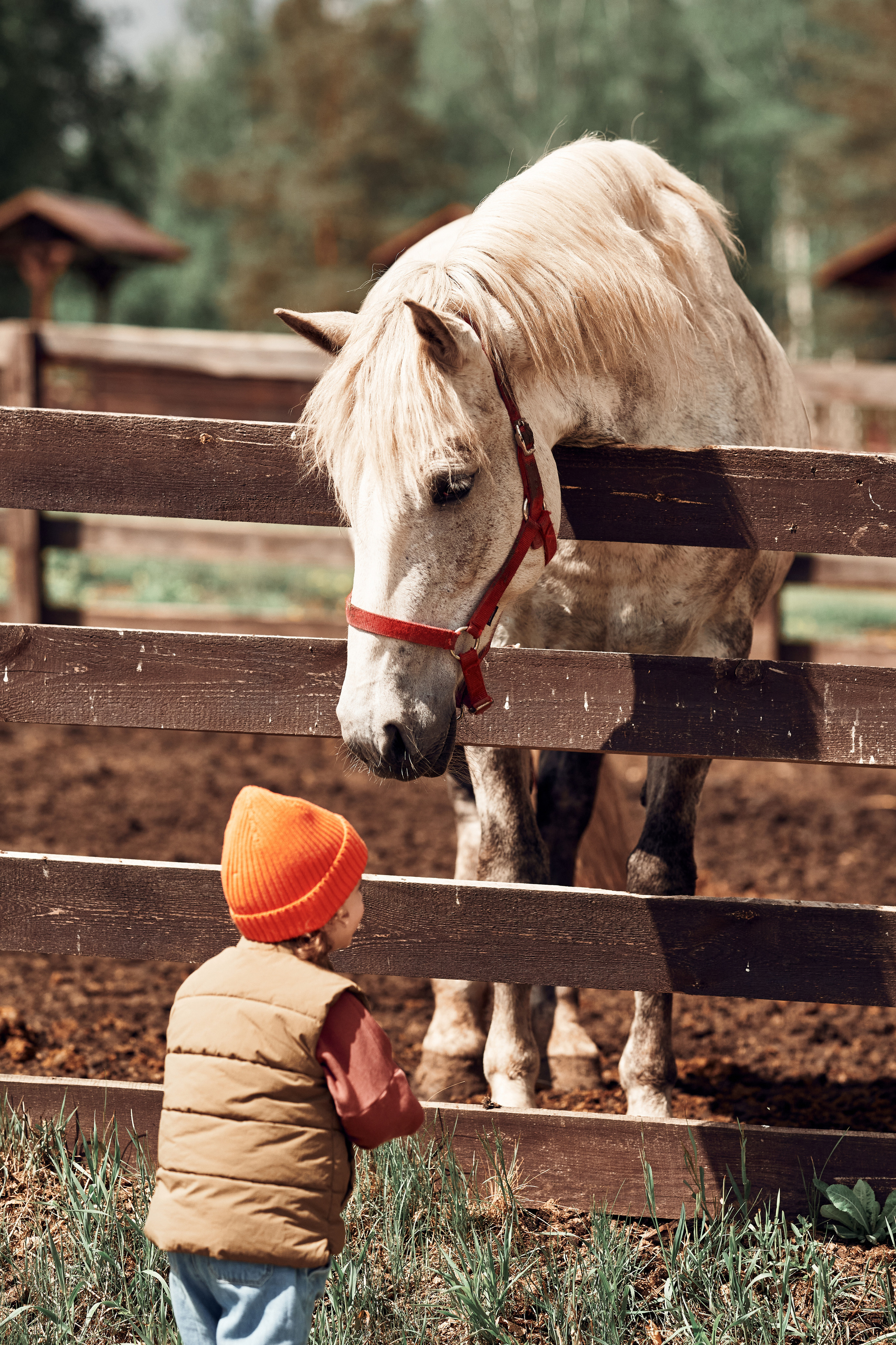 Ранчо Шарье. Место, где забываешь о времени. Фотограф в Барселоне Жанна Захарченко
