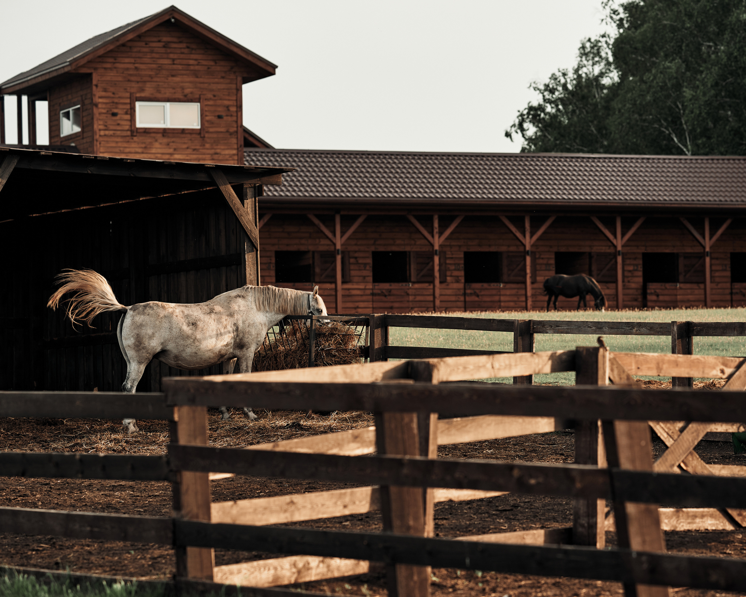 Ранчо. Фотограф в Барселоне Жанна Захарченко