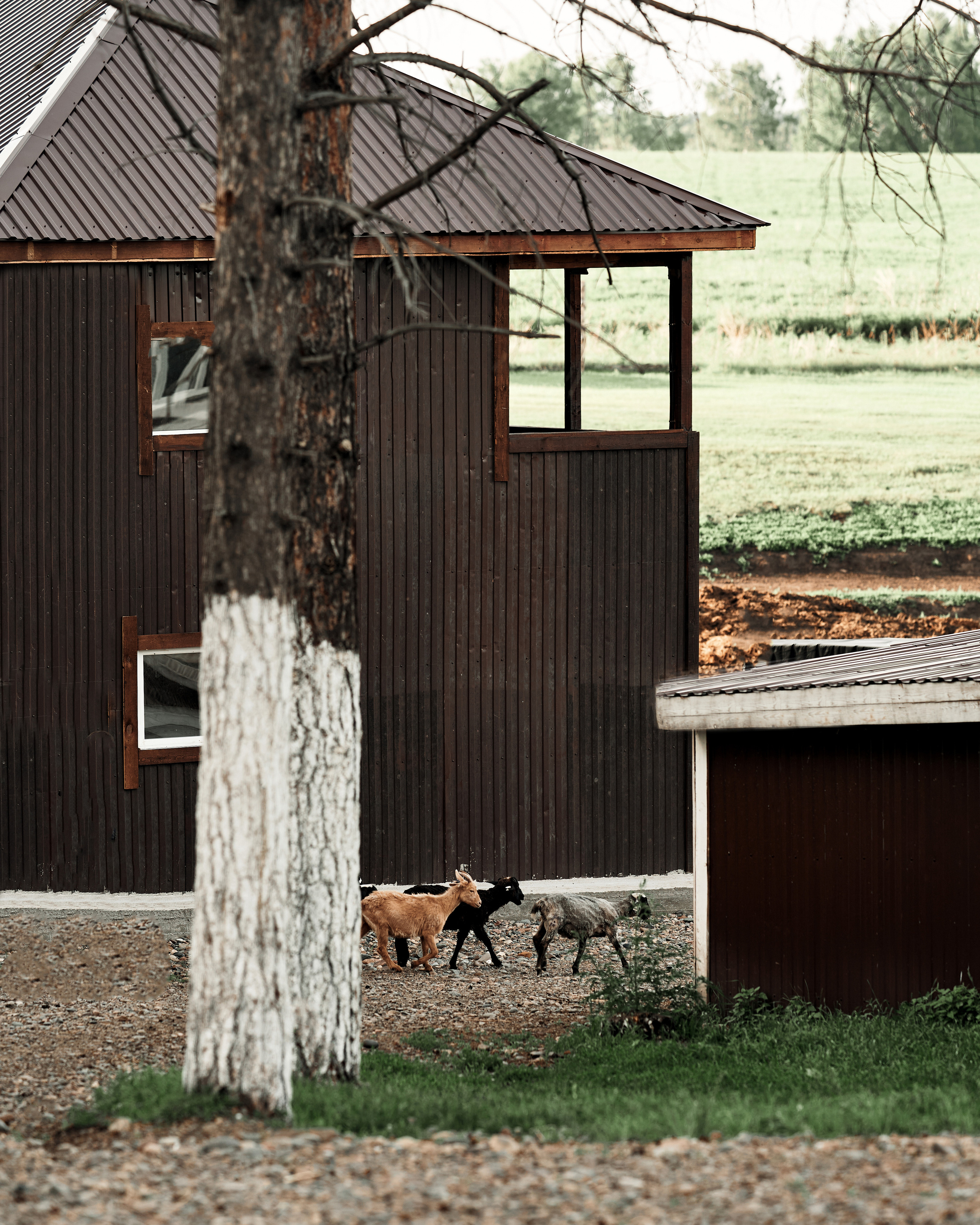 Ранчо. Фотограф в Барселоне Жанна Захарченко