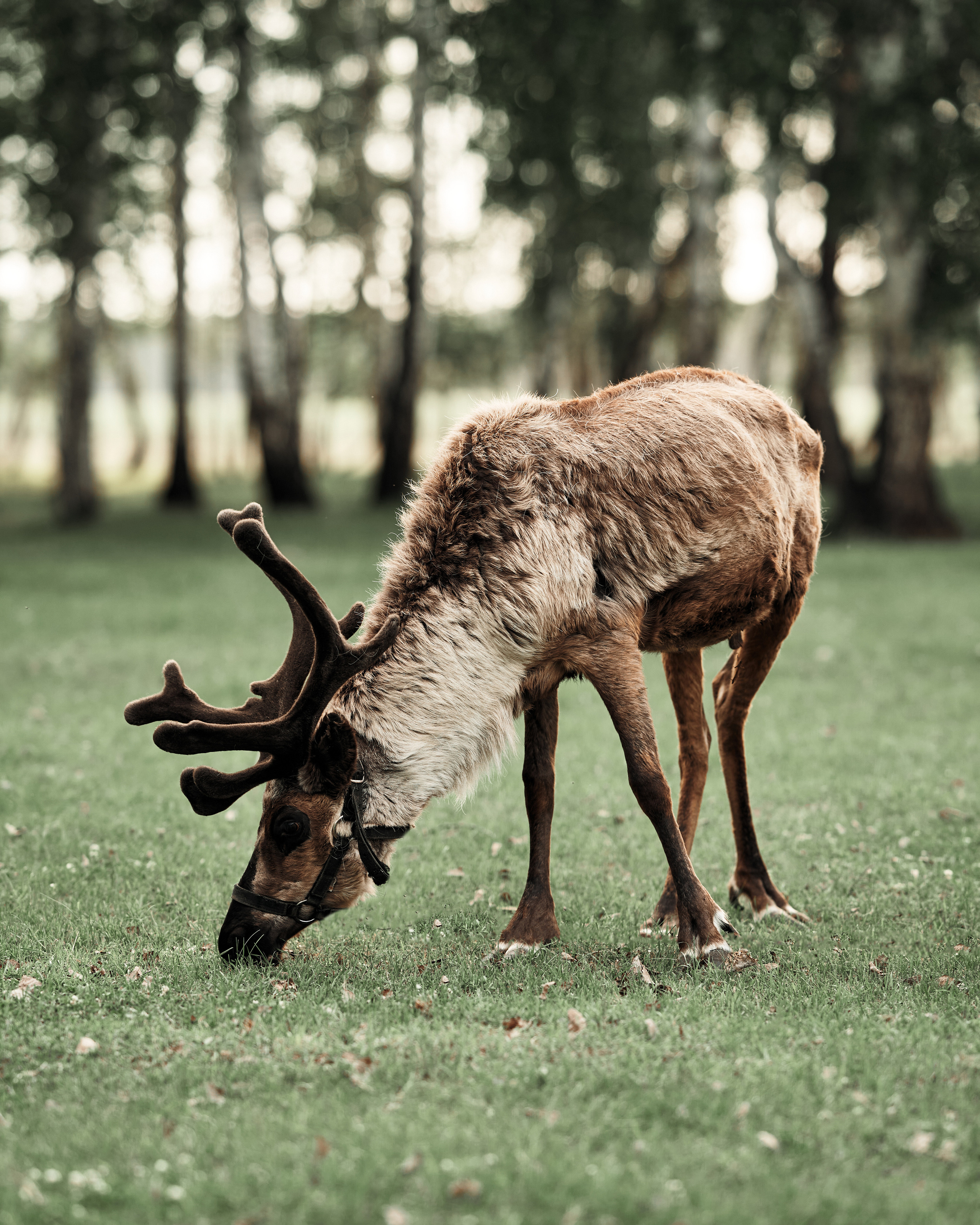 Ранчо. Фотограф в Барселоне Жанна Захарченко
