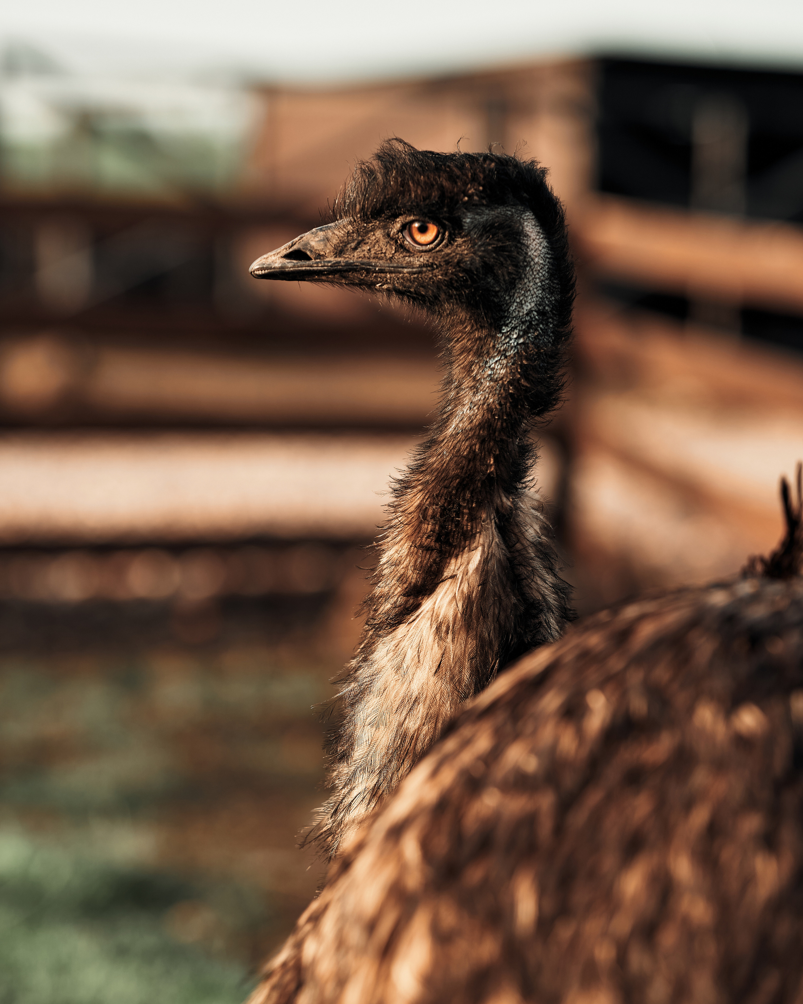 Ранчо. Фотограф в Барселоне Жанна Захарченко