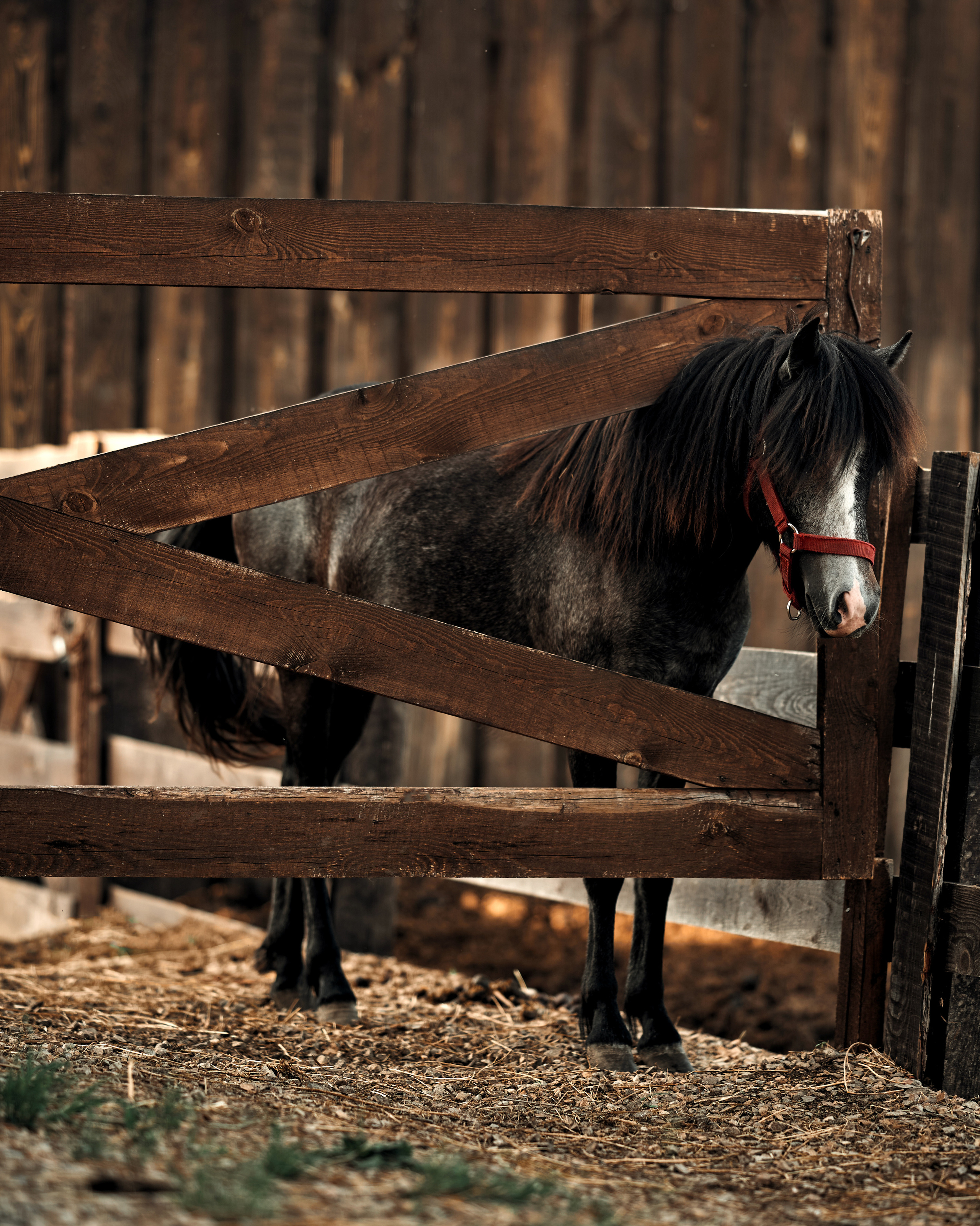 Ранчо. Фотограф в Барселоне Жанна Захарченко