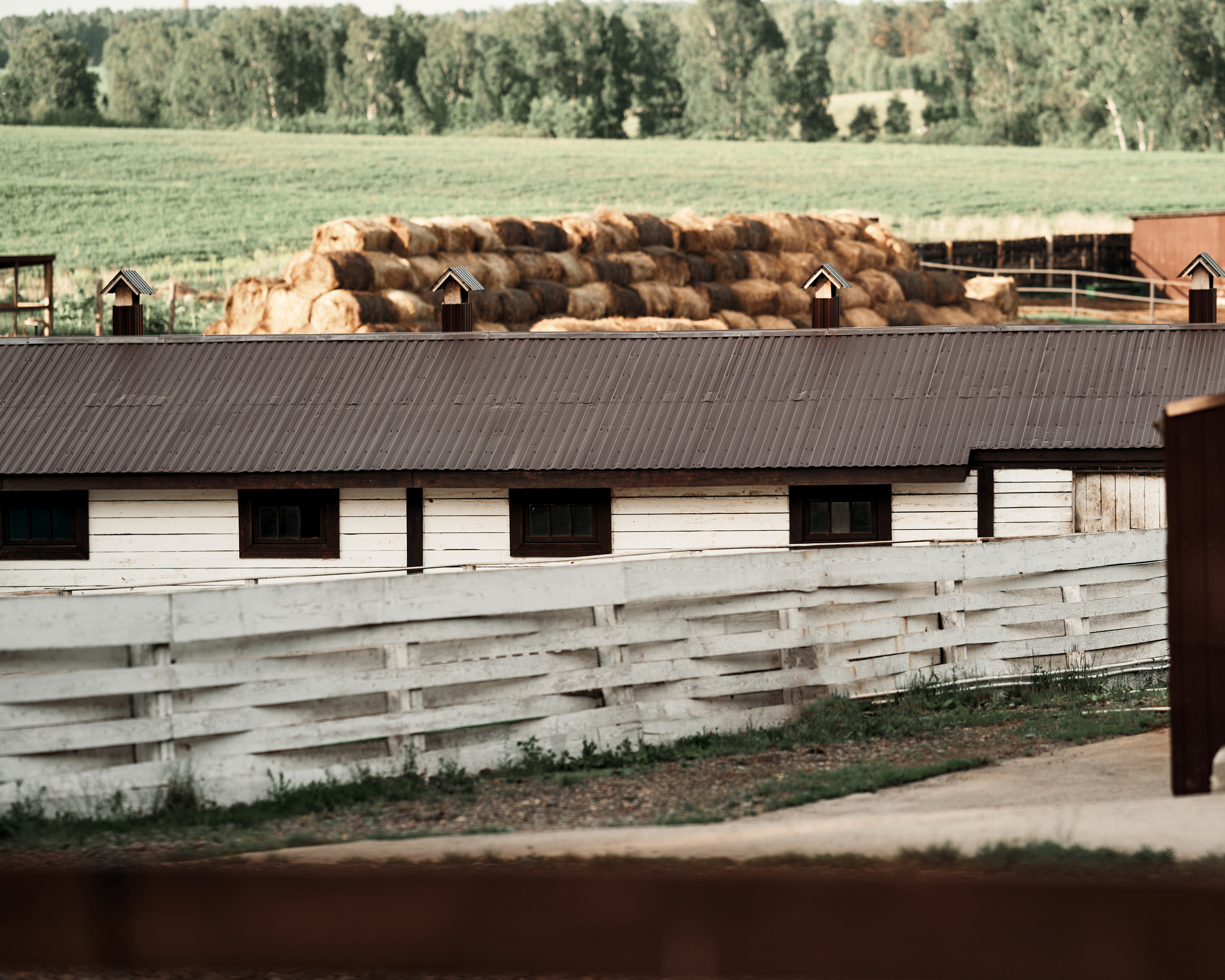 Ранчо. Фотограф в Барселоне Жанна Захарченко