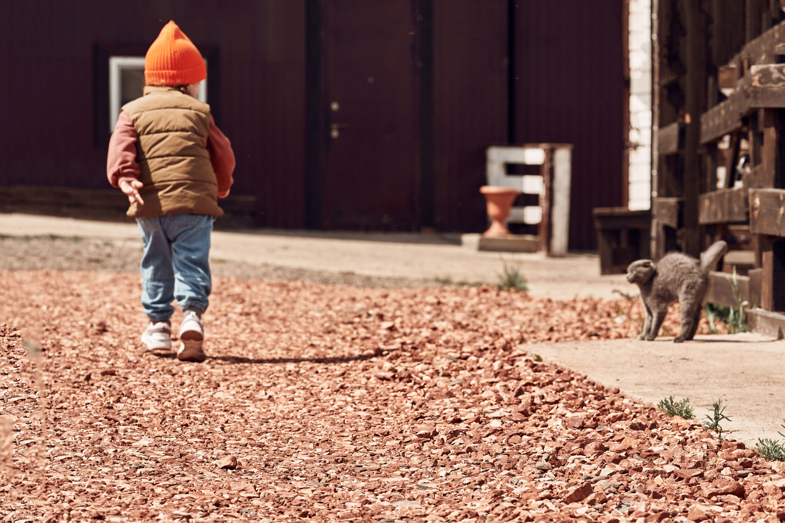 Ранчо Шарье. Место, где забываешь о времени. Фотограф в Барселоне Жанна Захарченко