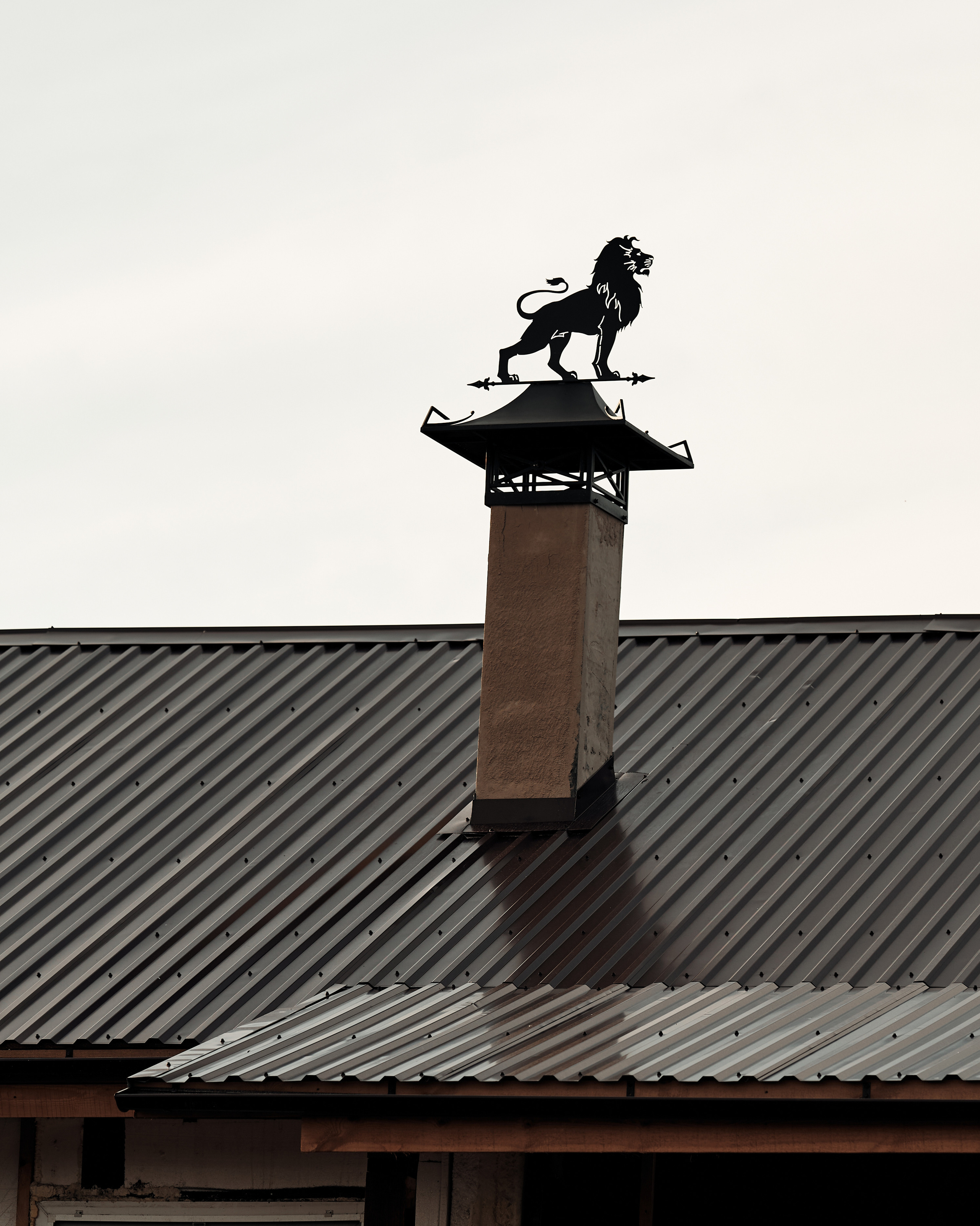 Ранчо. Фотограф в Барселоне Жанна Захарченко