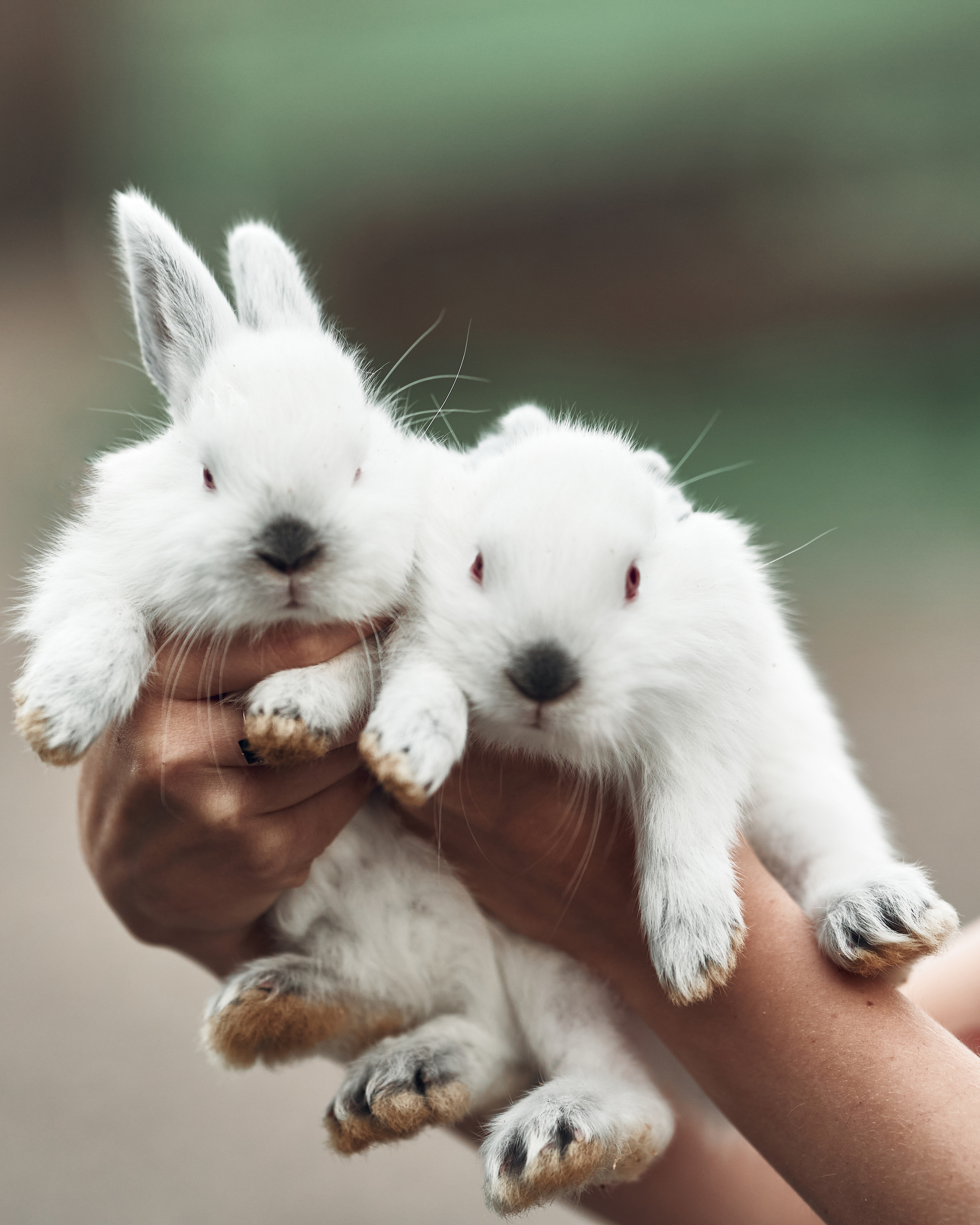 Ранчо. Фотограф в Барселоне Жанна Захарченко