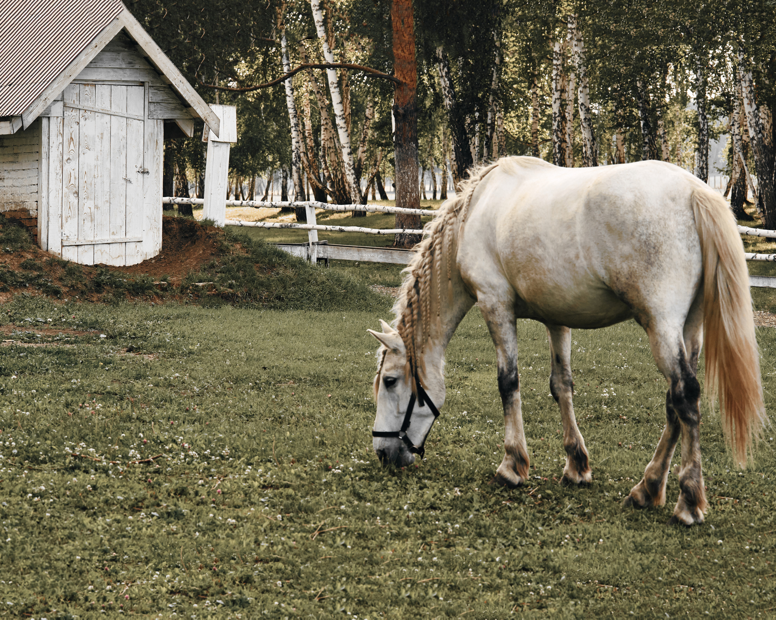 Ранчо. Фотограф в Барселоне Жанна Захарченко
