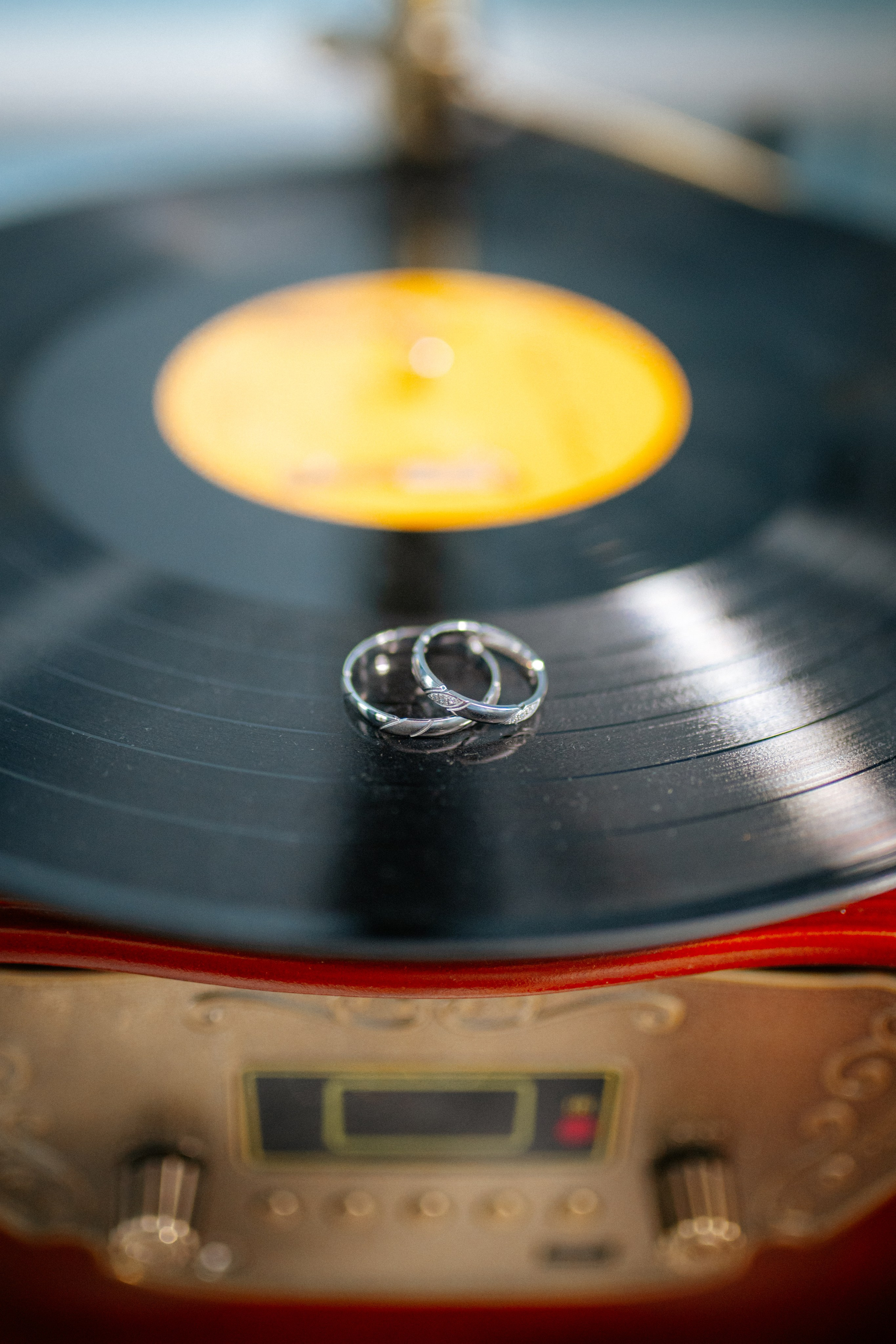 Luka Pejcic Photography