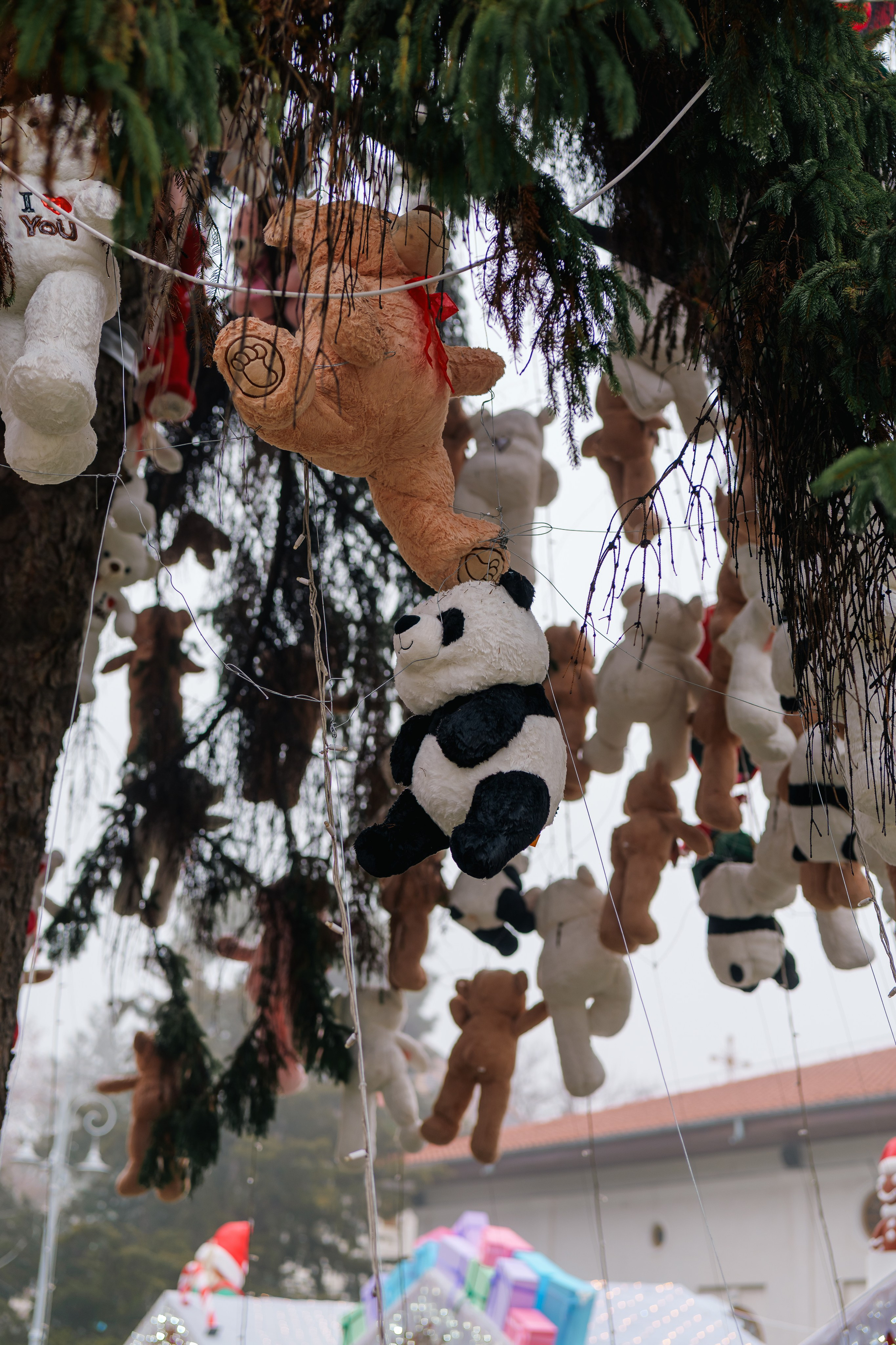 Portofoliu fotograf de nunta Bucuresti si imprejurimi. Raul Valentin fotograf de evenimente