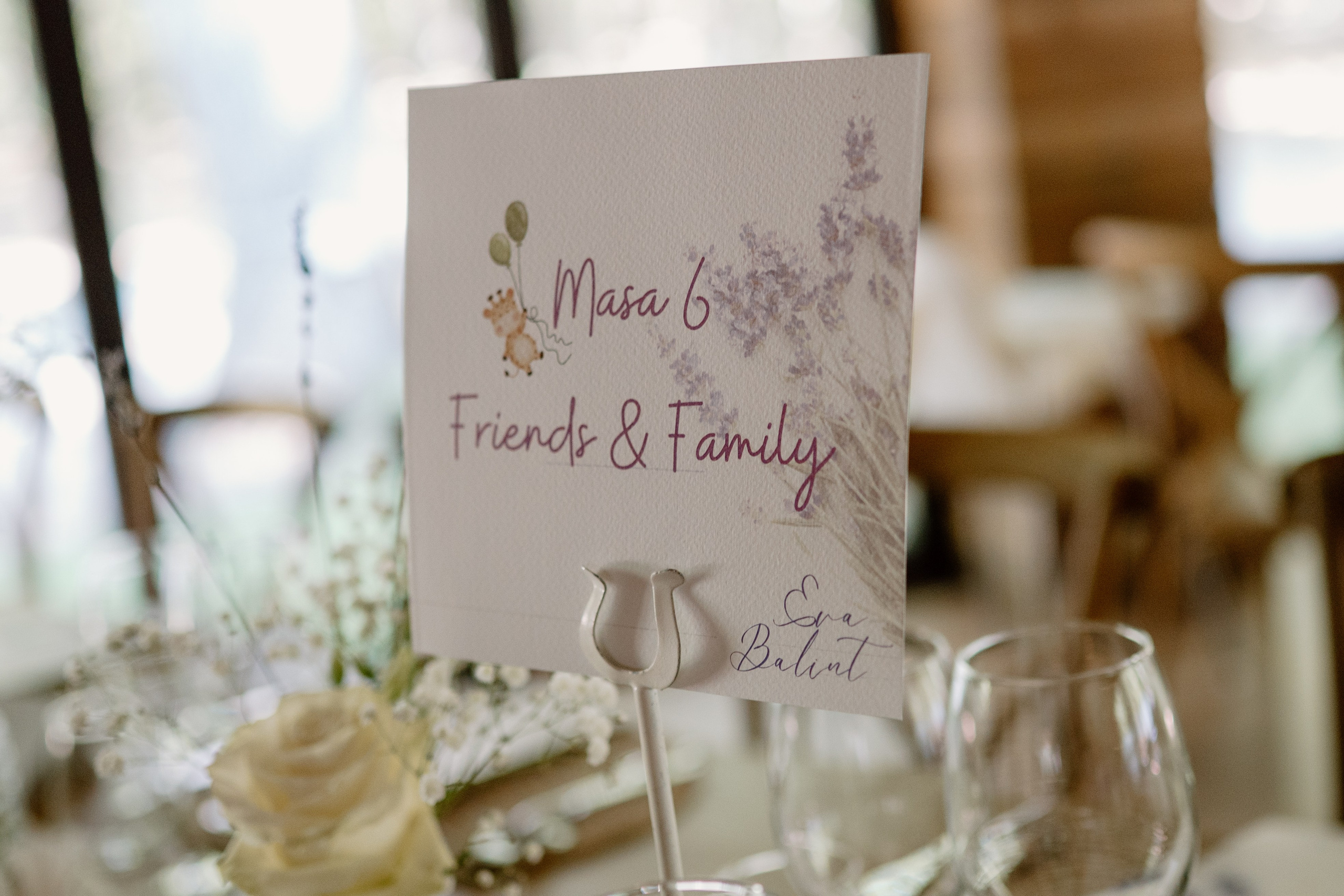 Baby Eva. Gabrielacojocariu.com