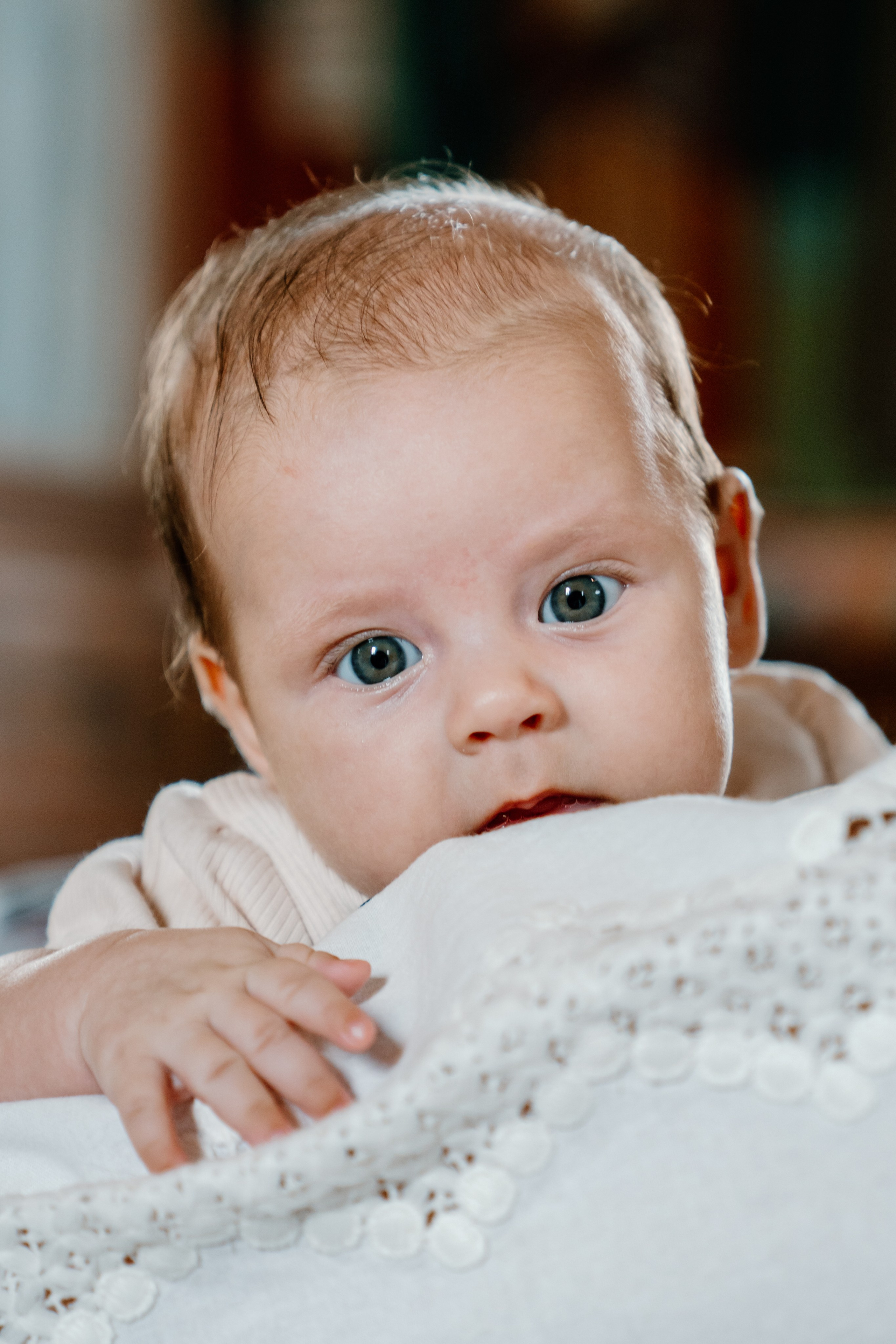 Baby Iris. Gabrielacojocariu.com